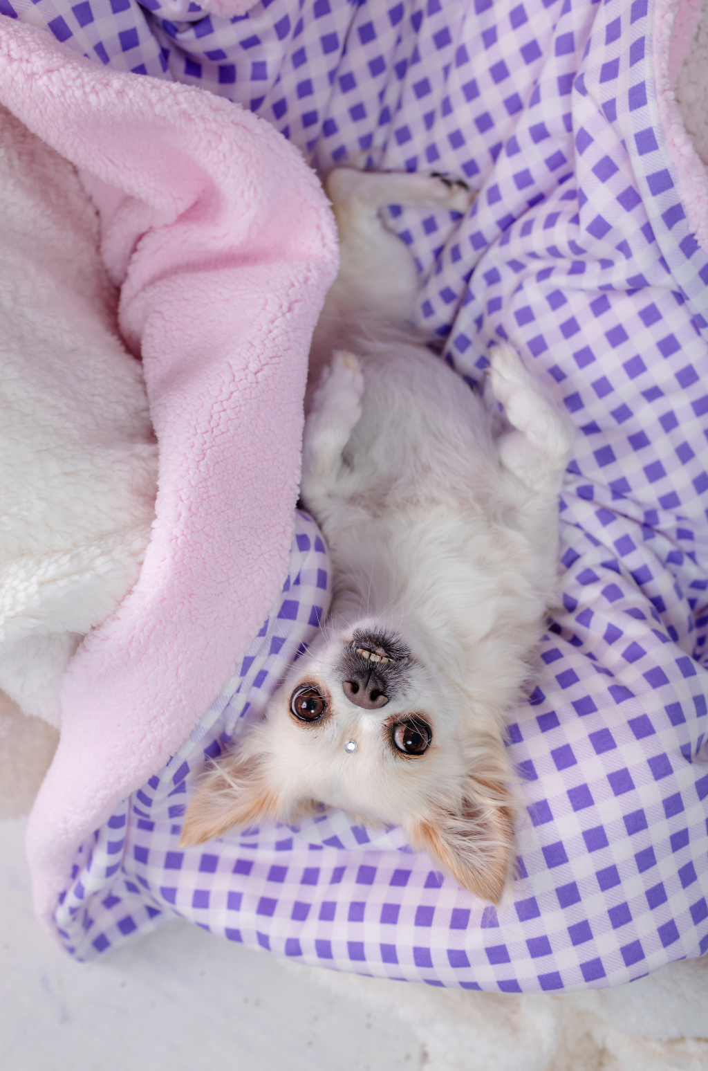 Cobija Leñadora Lila