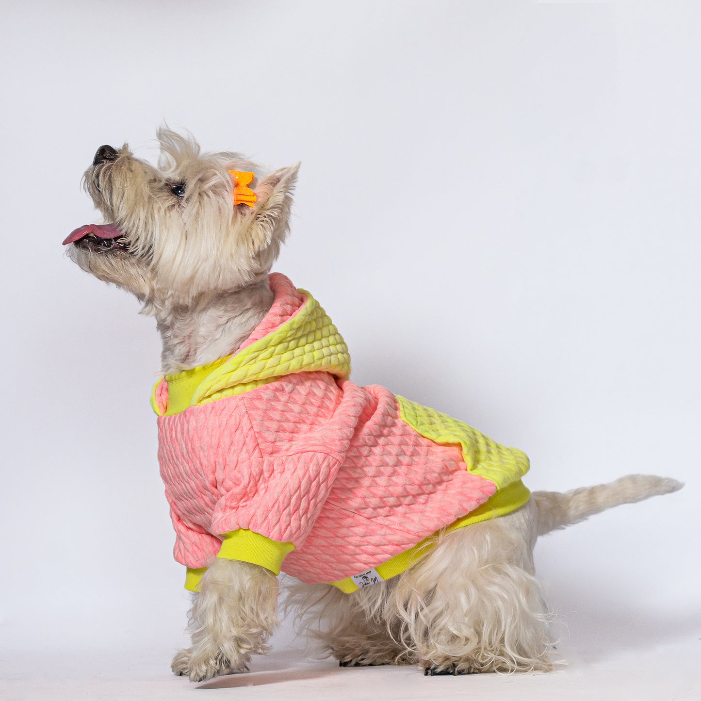 Hoodie  neon Yellow Pink