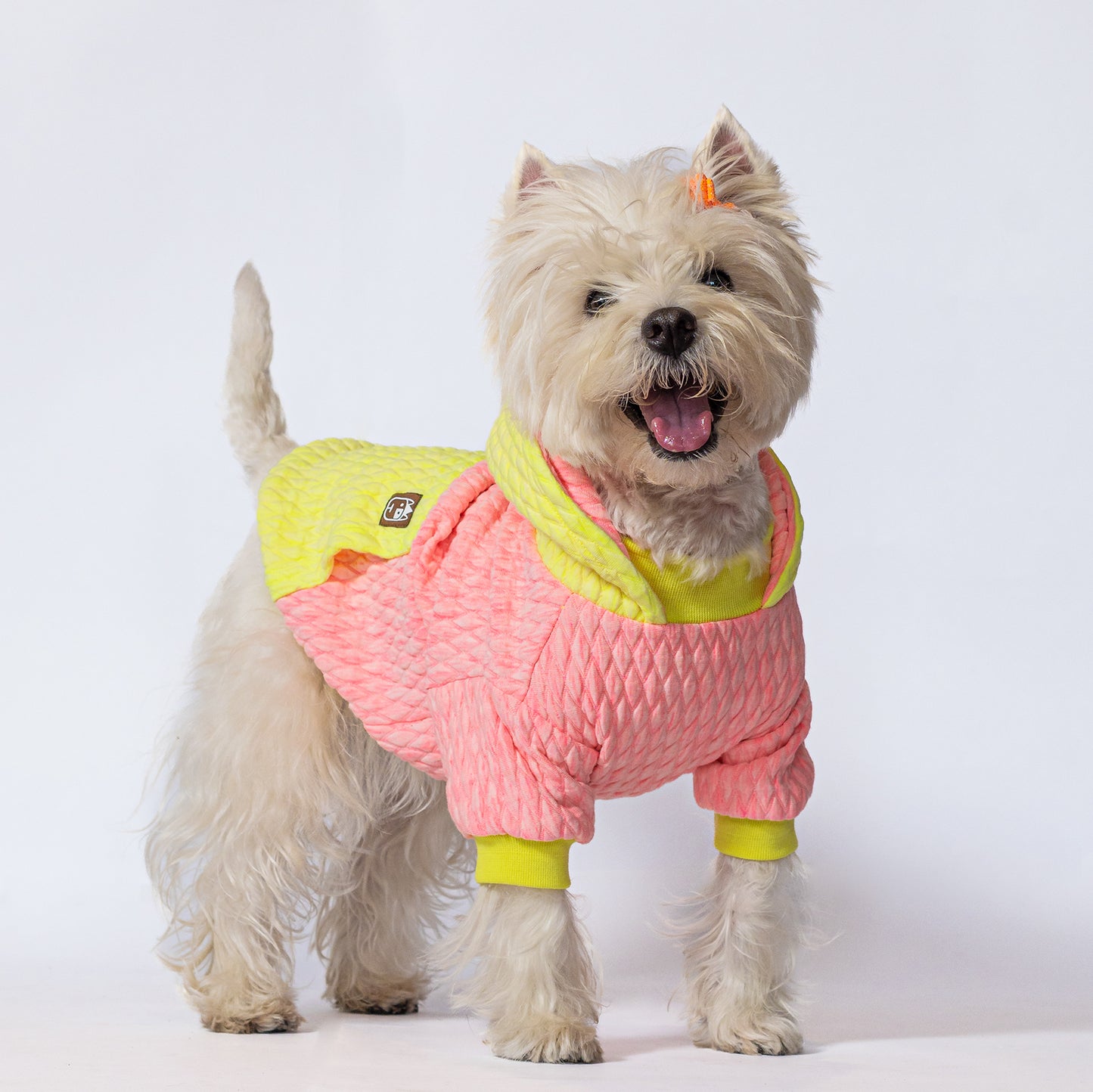 Hoodie  neon Yellow Pink