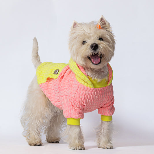 Hoodie  neon Yellow Pink
