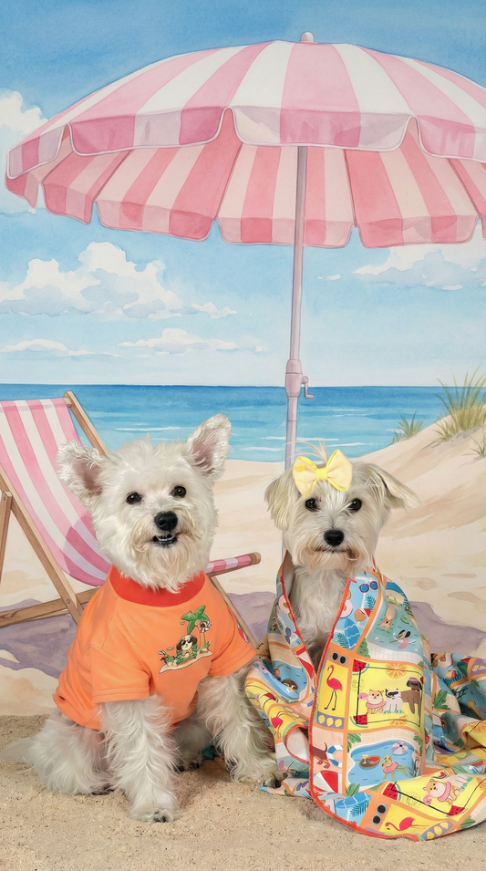 KIT POOL PARTY NARANJA - INCLUYE CAMISETA Y TOALLA