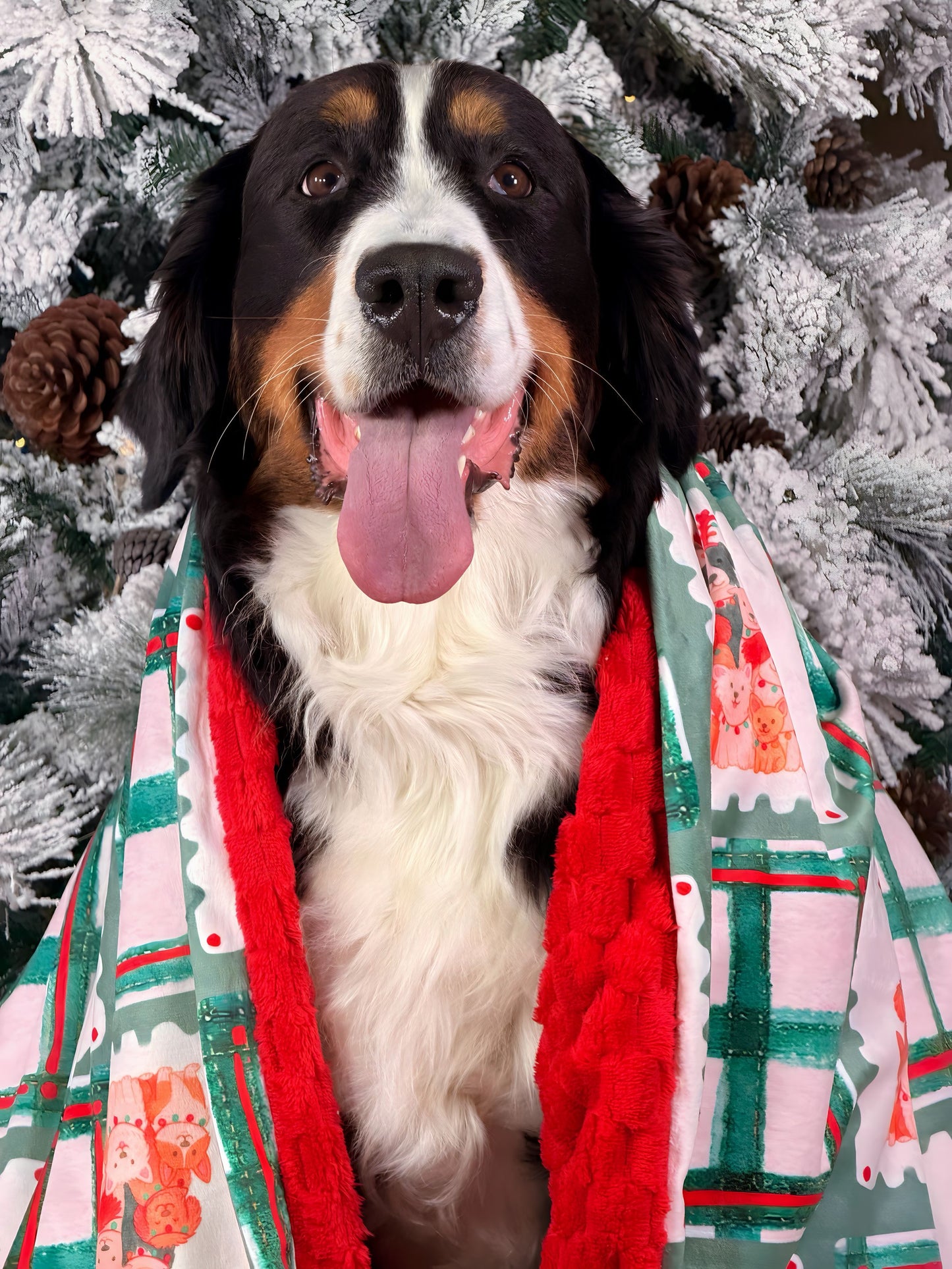 Cobija Eterna Navidad Mini