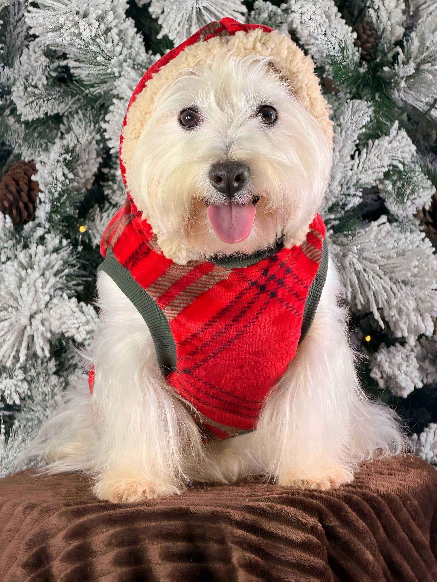 Chaleco De Santa Reversible