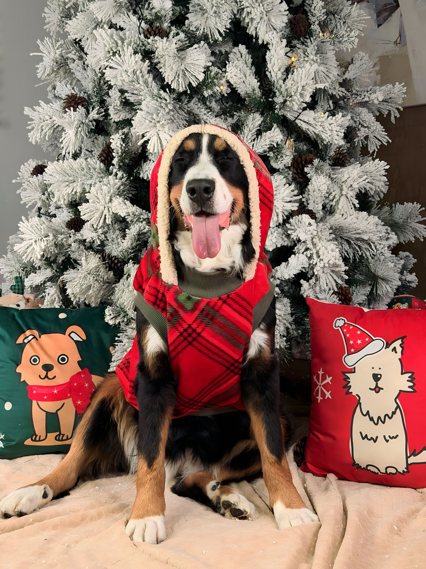 Chaleco De Santa Reversible