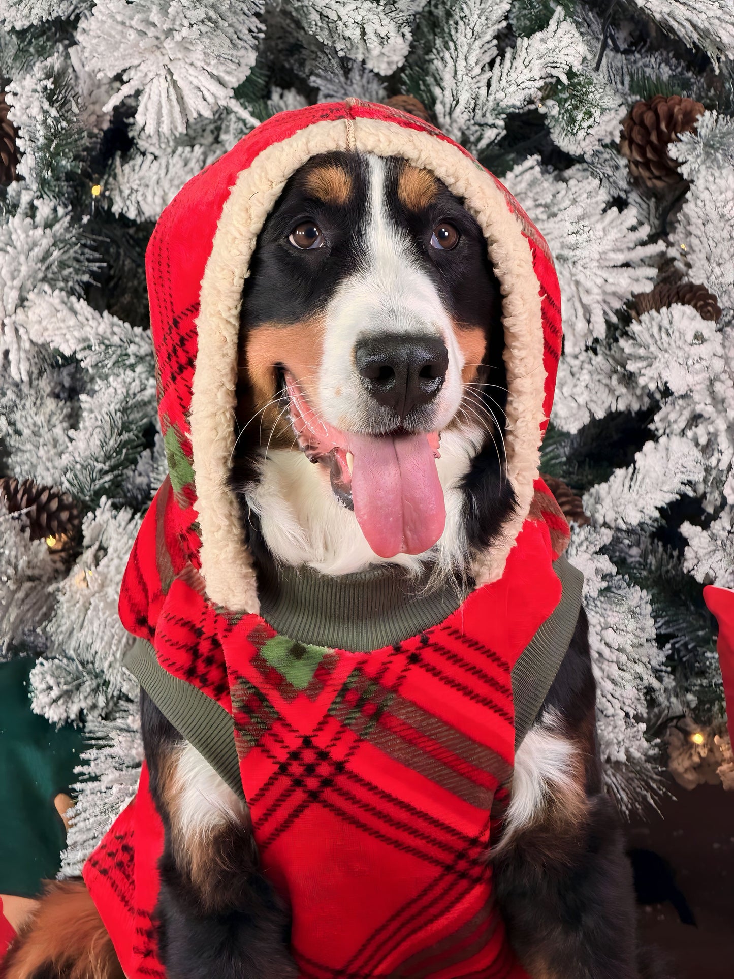 Chaleco De Santa Reversible