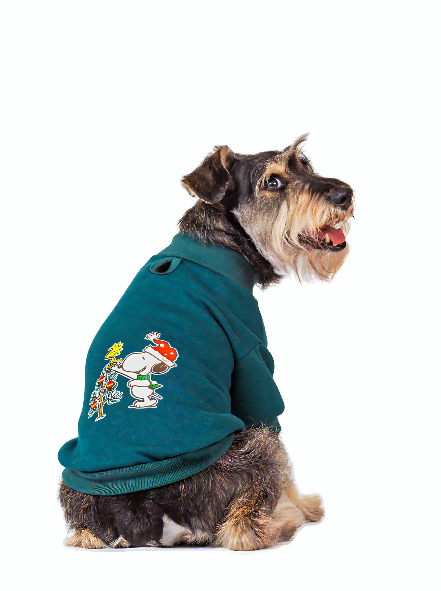 Buzo Pino Estampado Snoopy