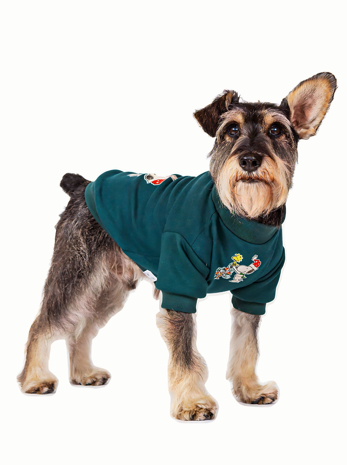 Buzo Pino Estampado Snoopy