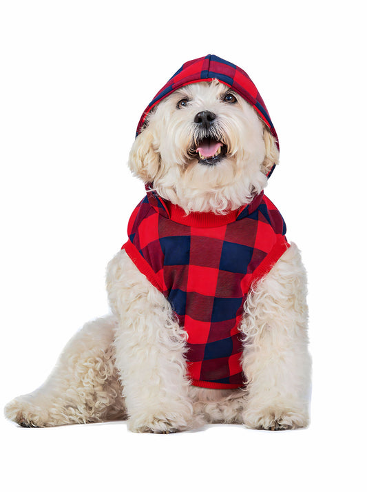 Hoodie Secretos De Santa