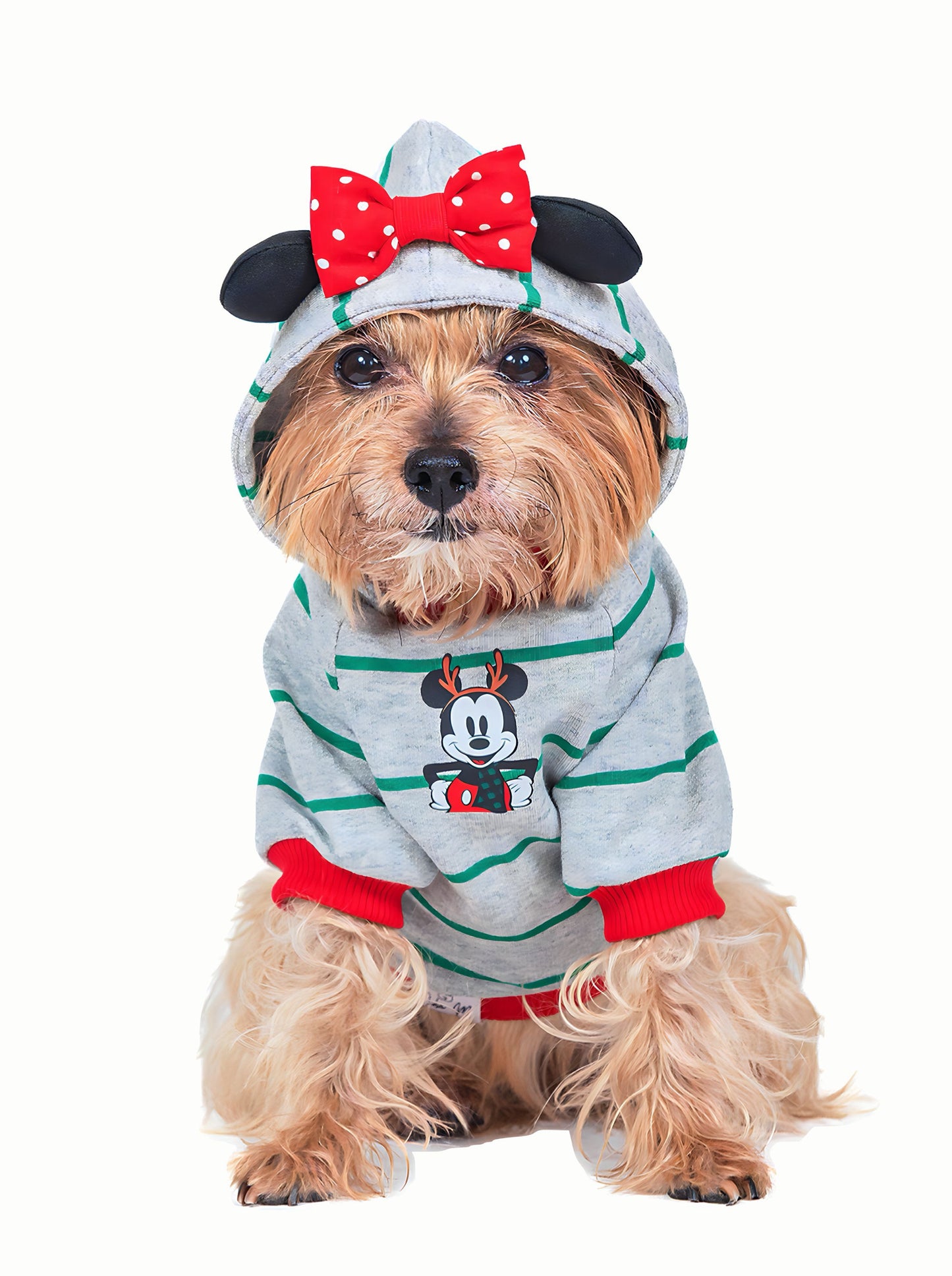 Hoodie Minnie