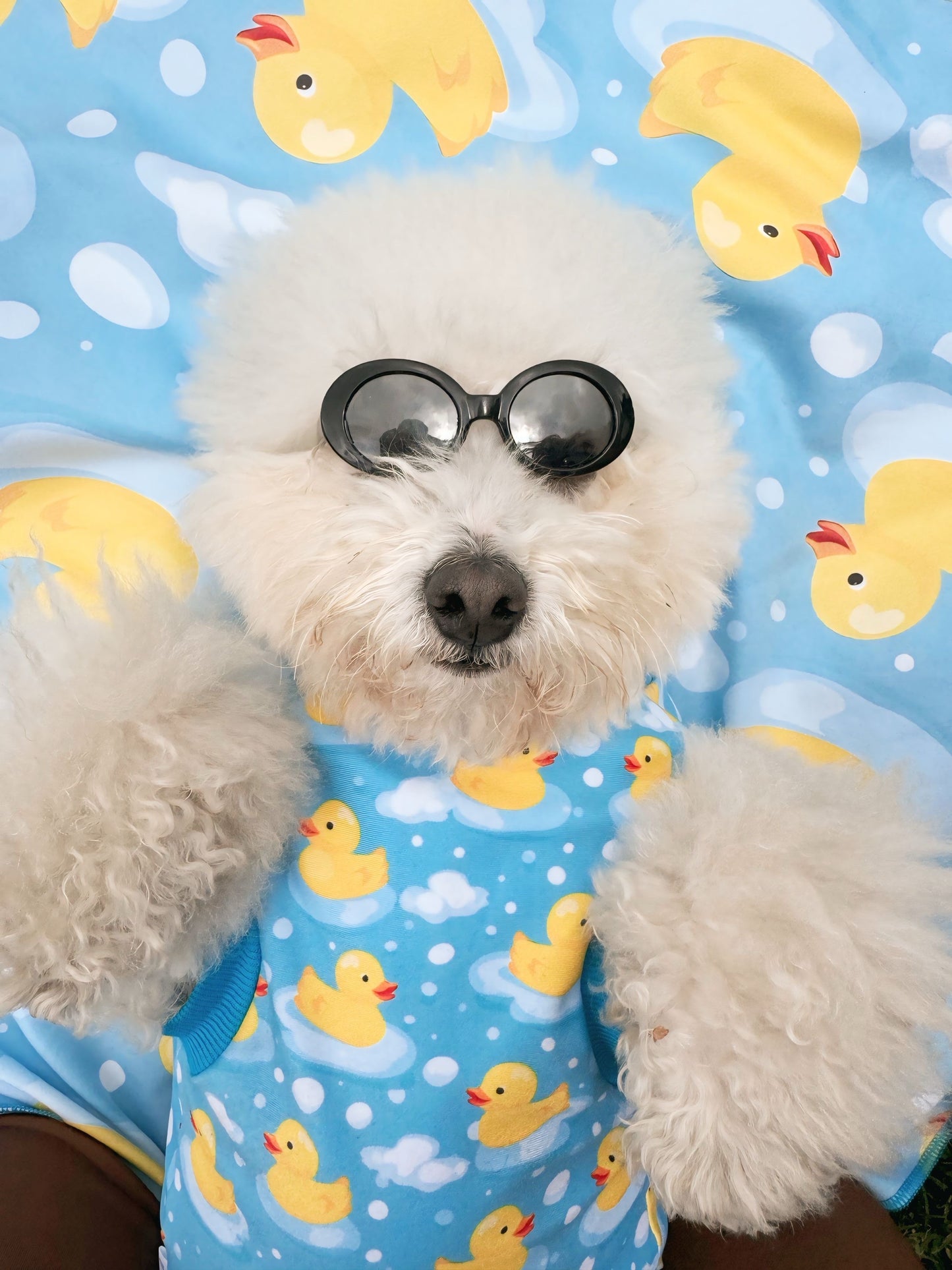 Perri Cool Box Patitos