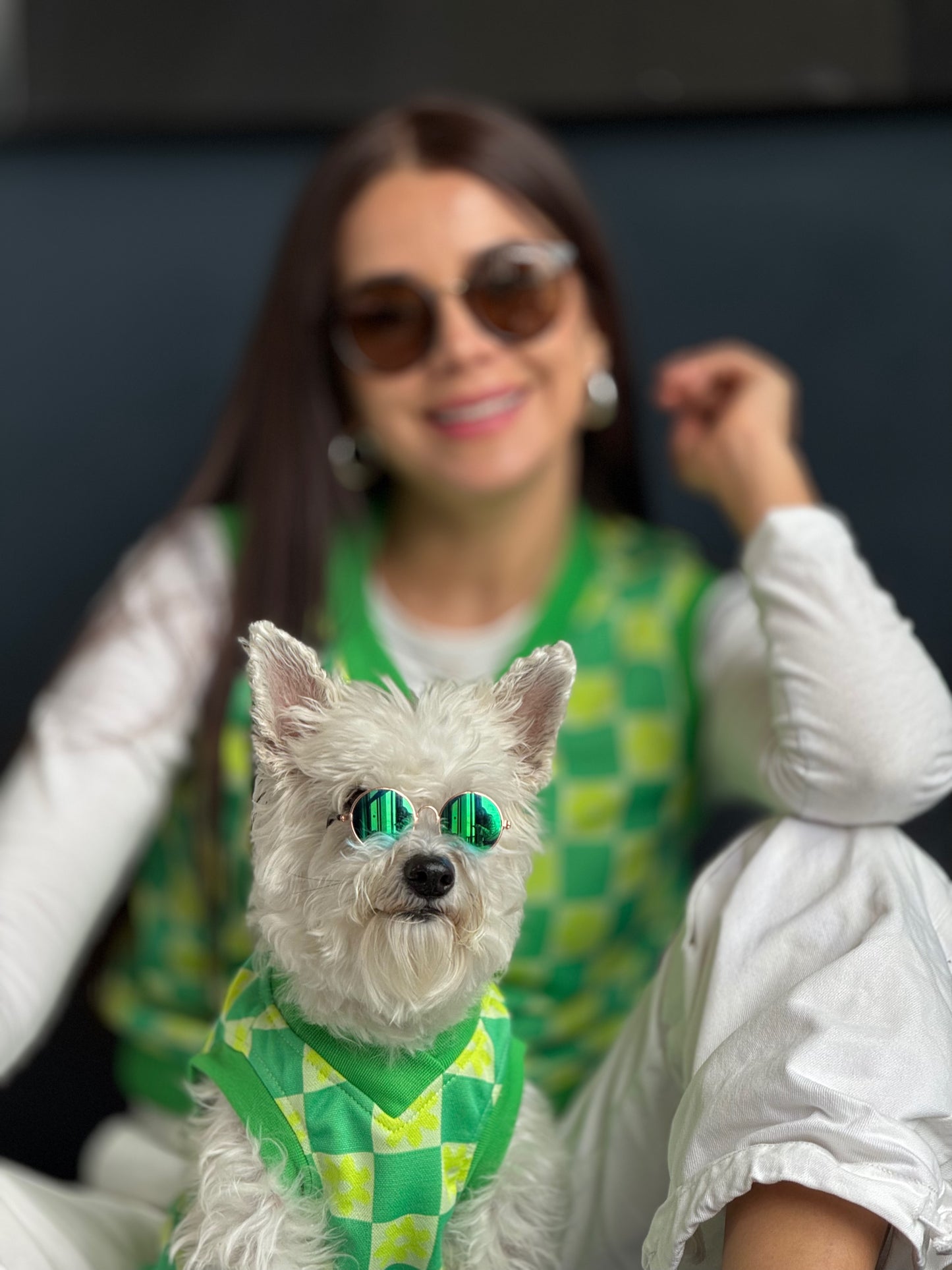Chaleco Flow Paw Verde