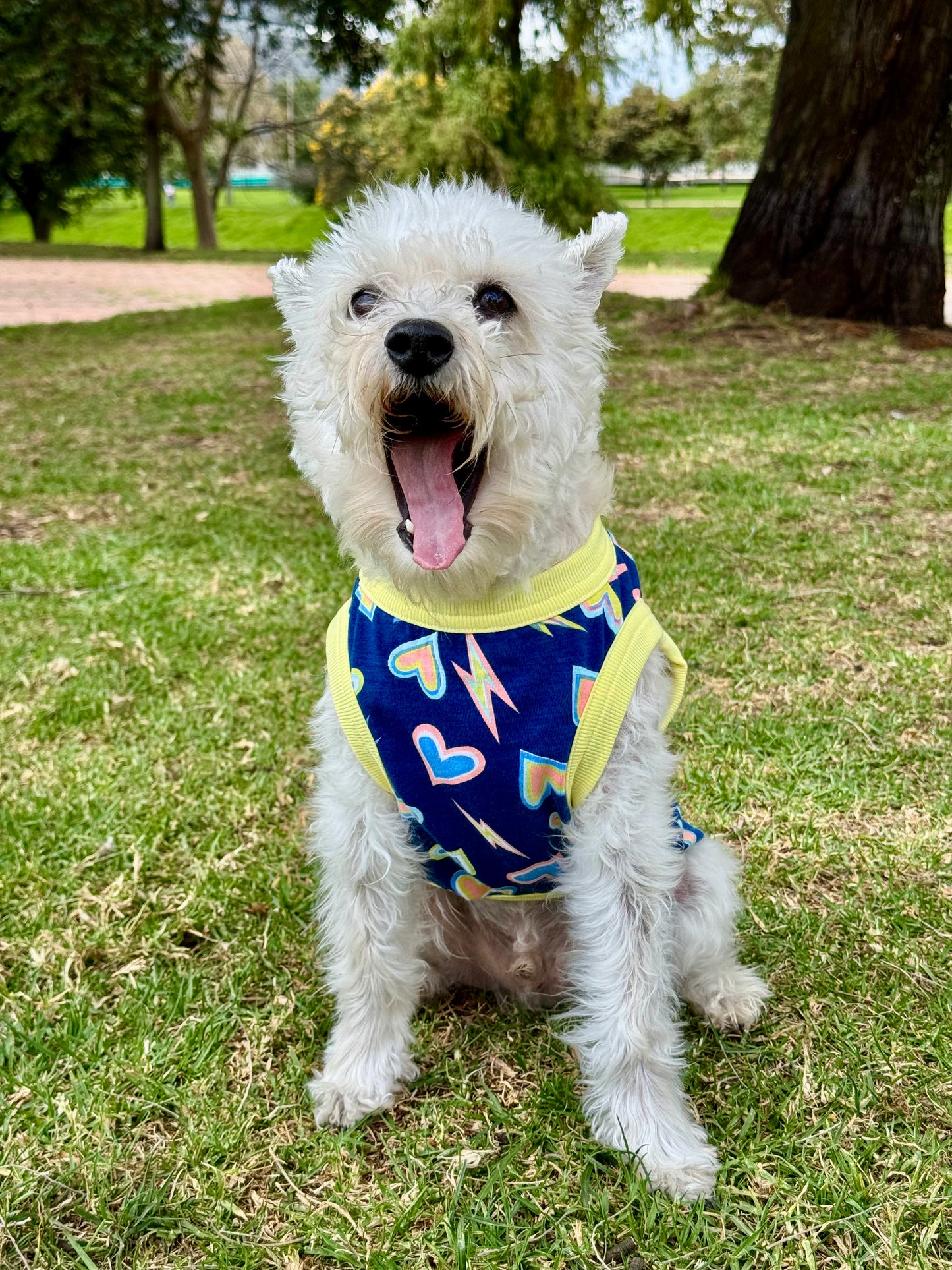 Esqueleto Thunder
