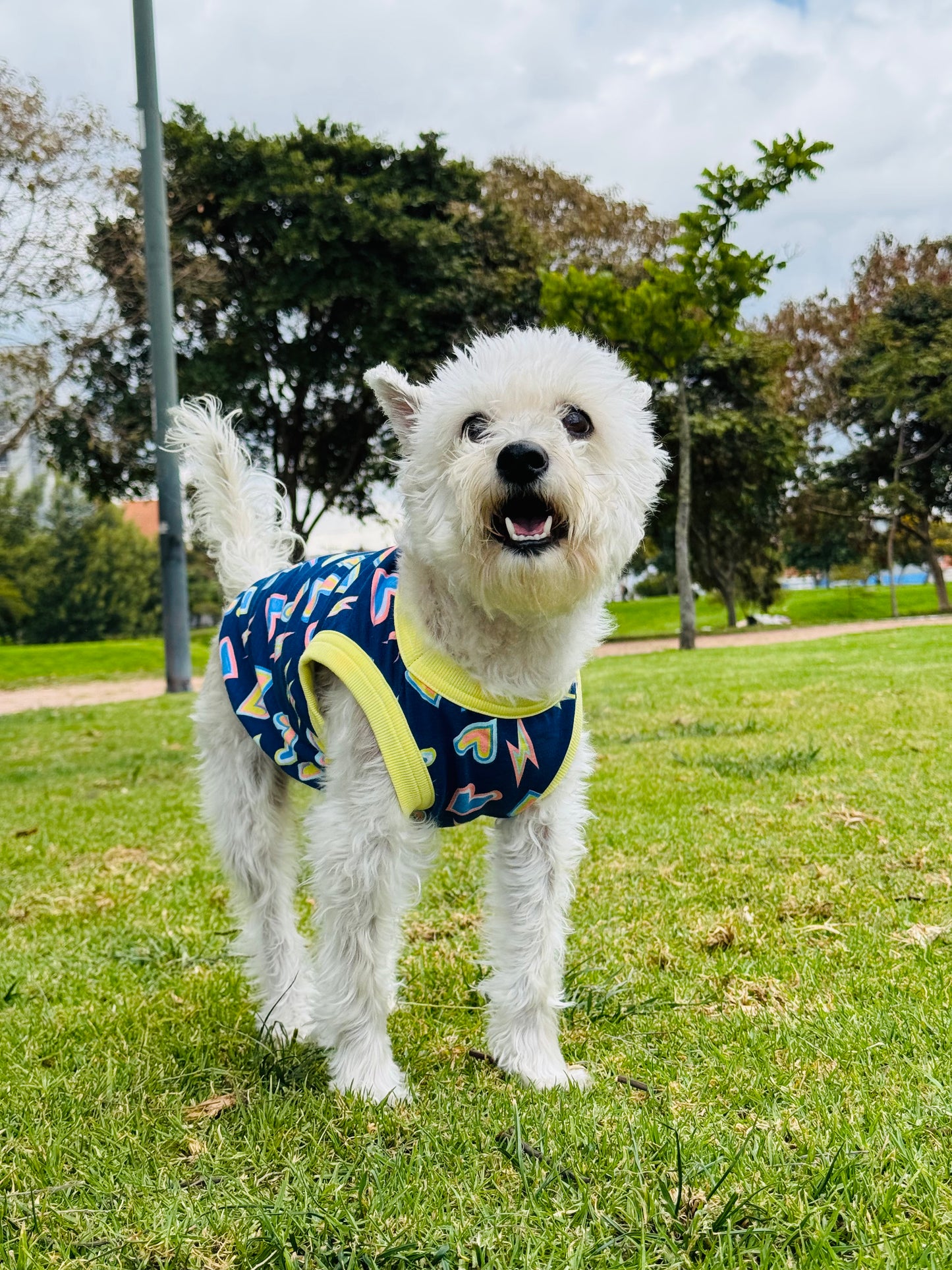 Esqueleto Thunder