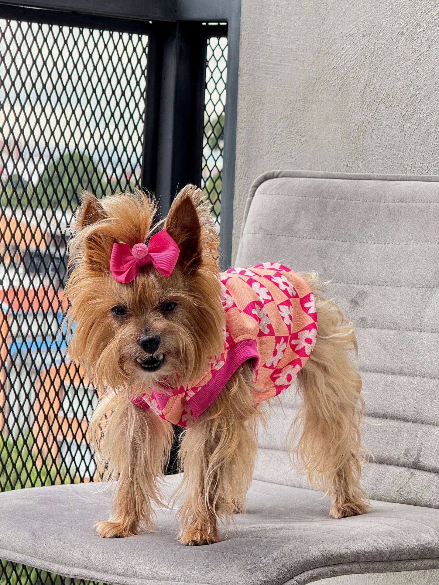 Chaleco Flow Paw Rosa