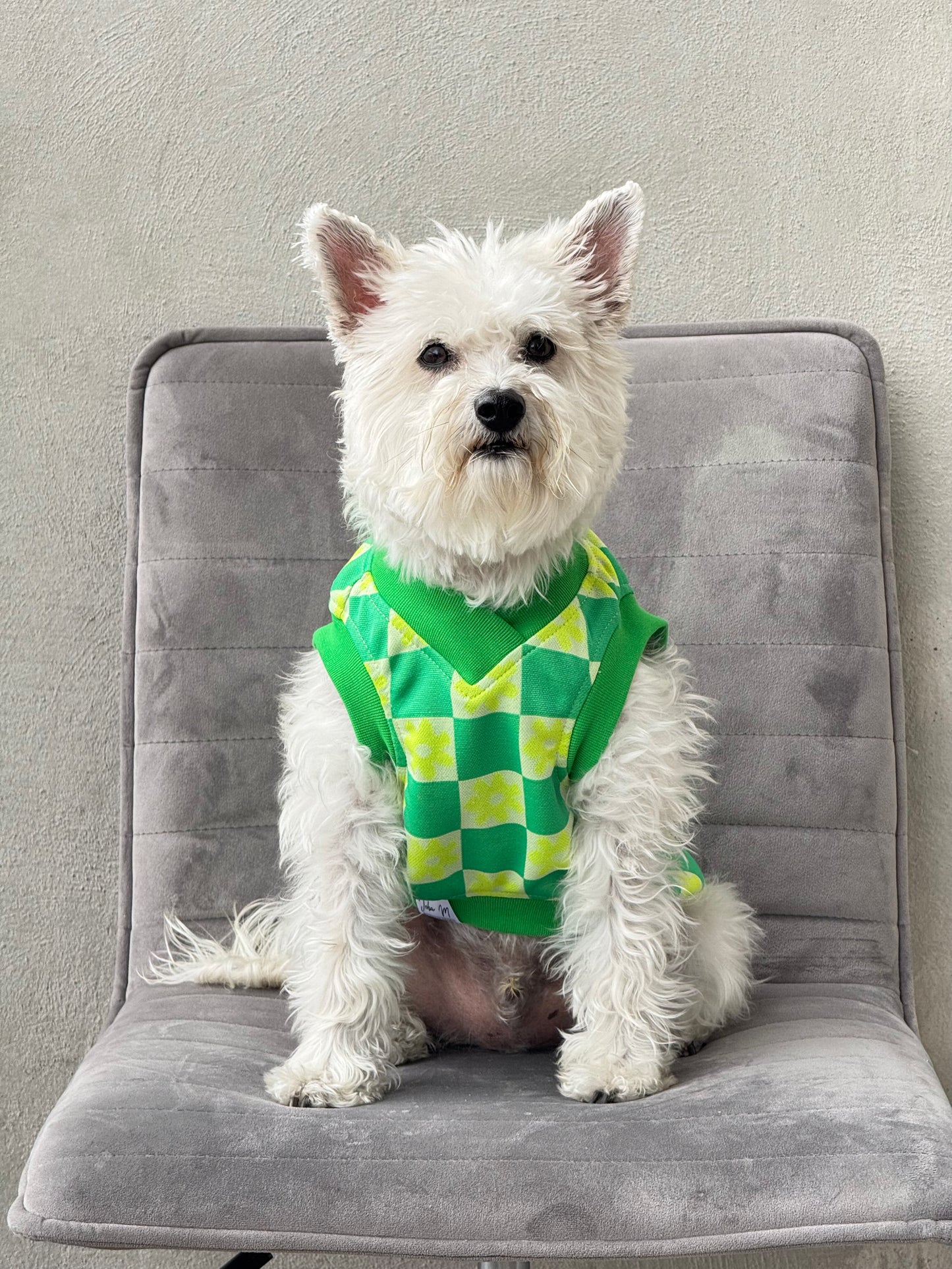 Chaleco Flow Paw Verde