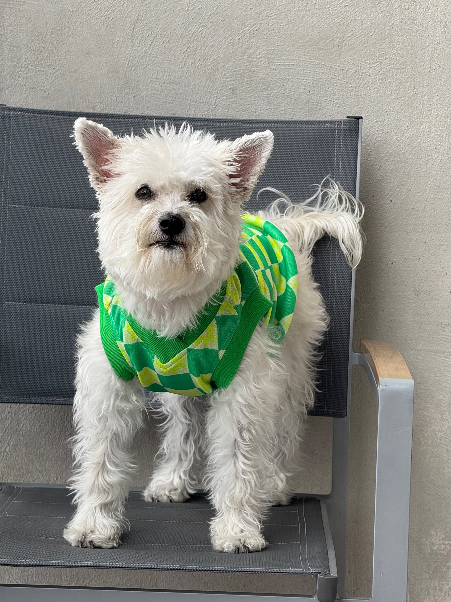 Chaleco Flow Paw Verde
