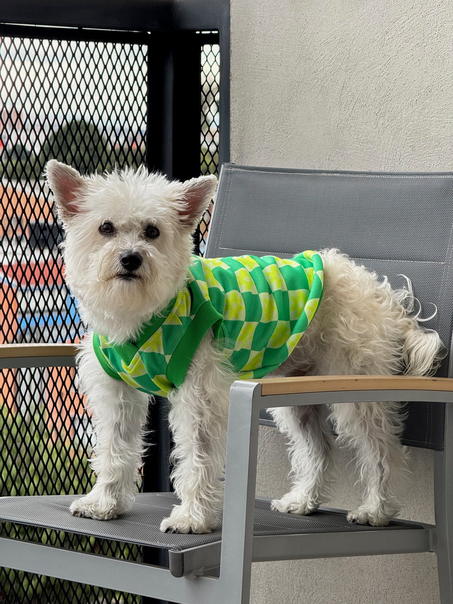 Chaleco Flow Paw Verde