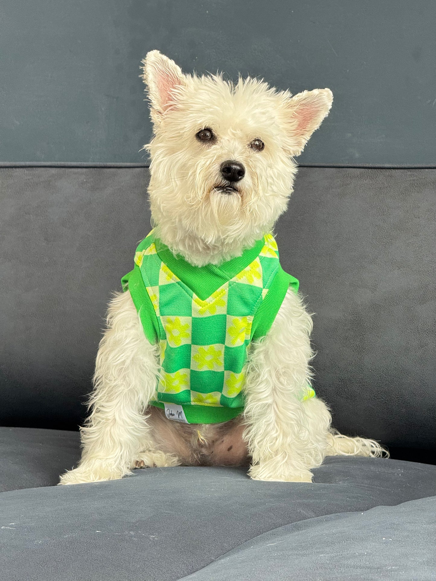 Chaleco Flow Paw Verde