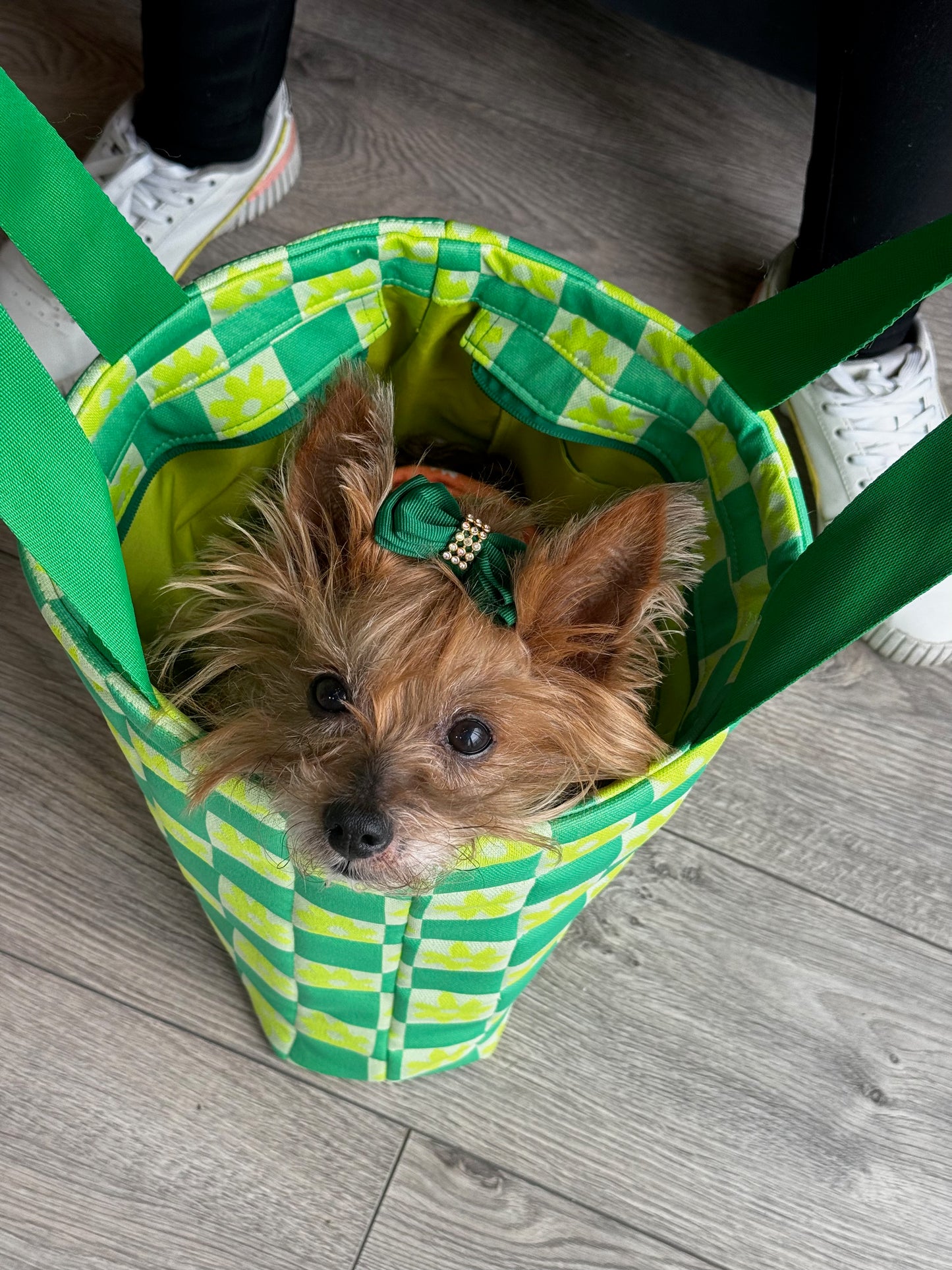 Tote Bag Flow Verde