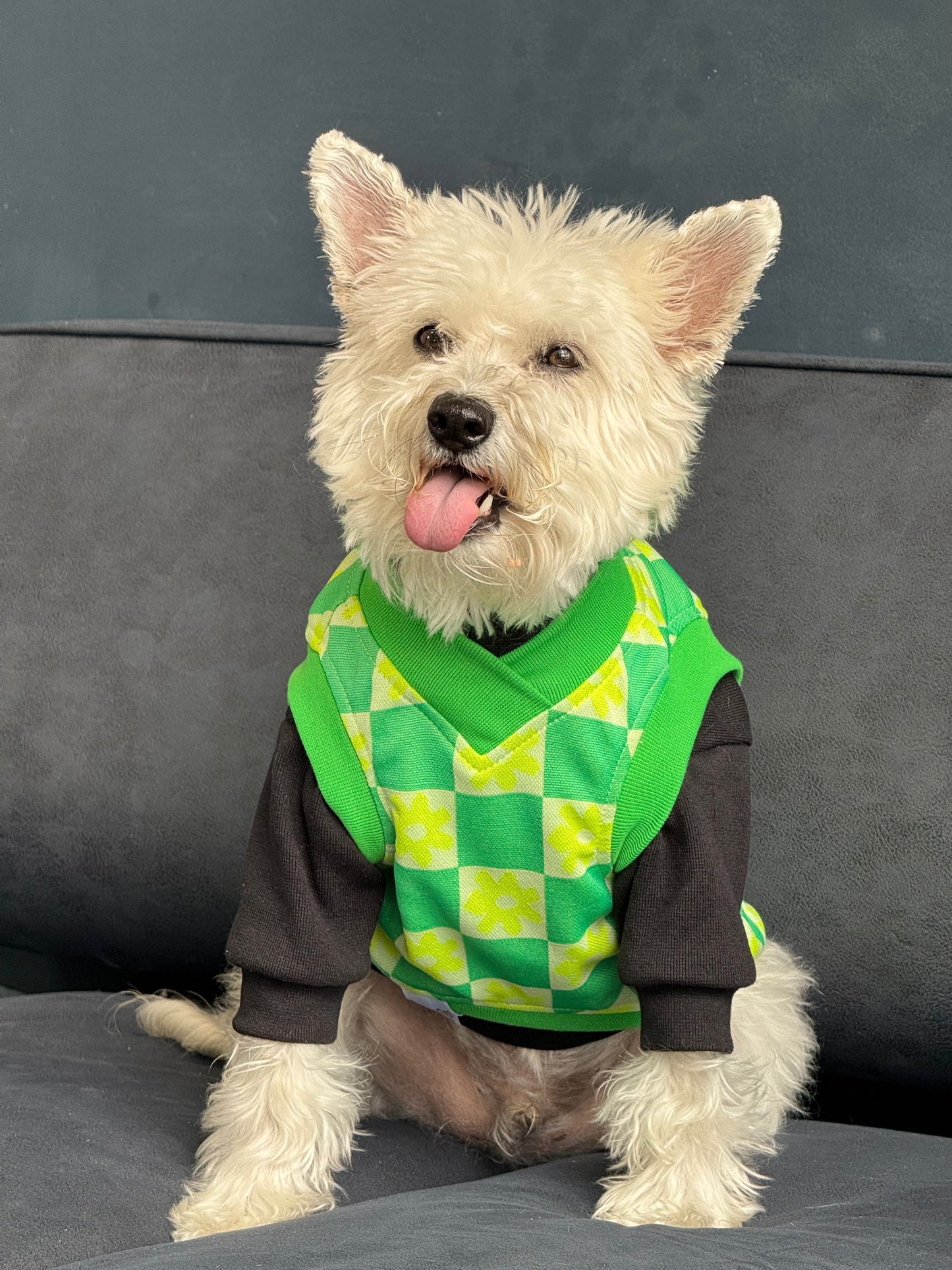 Chaleco Flow Paw Verde