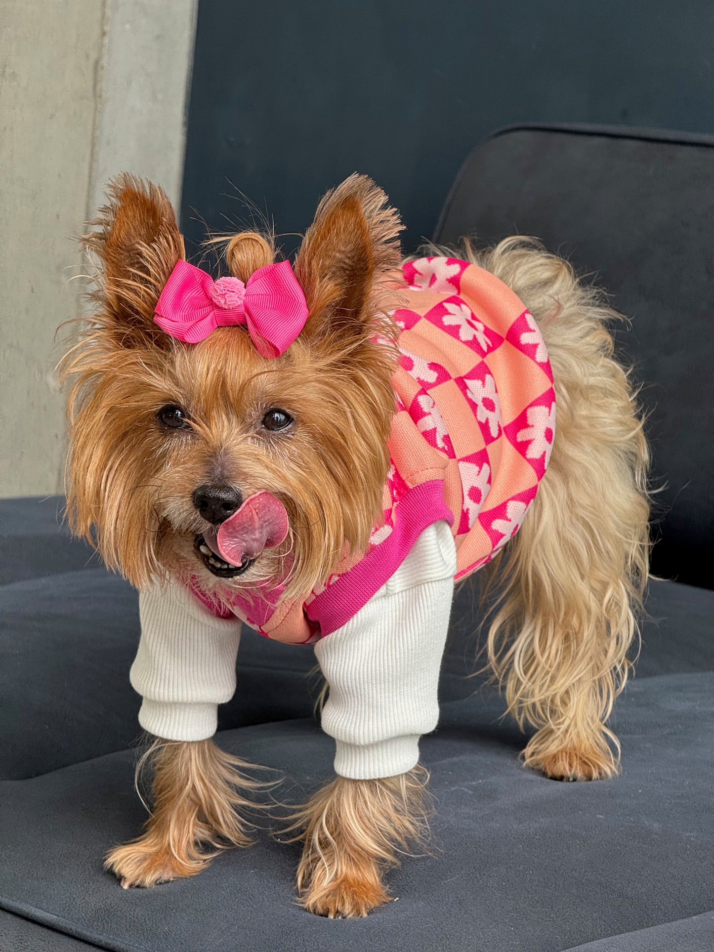 Chaleco Flow Paw Rosa