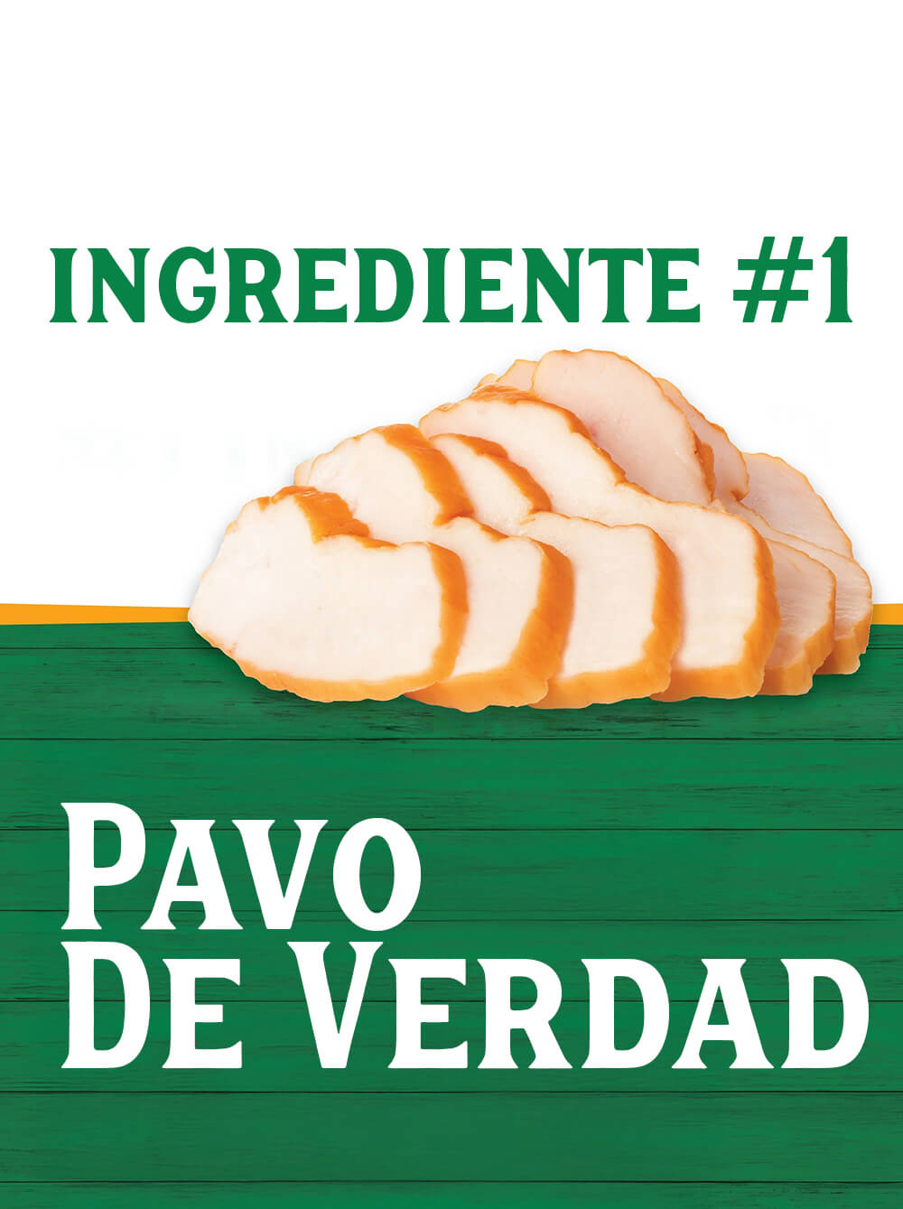 TRIUMPH Alimento Humedo para perro-Pavo 374gr