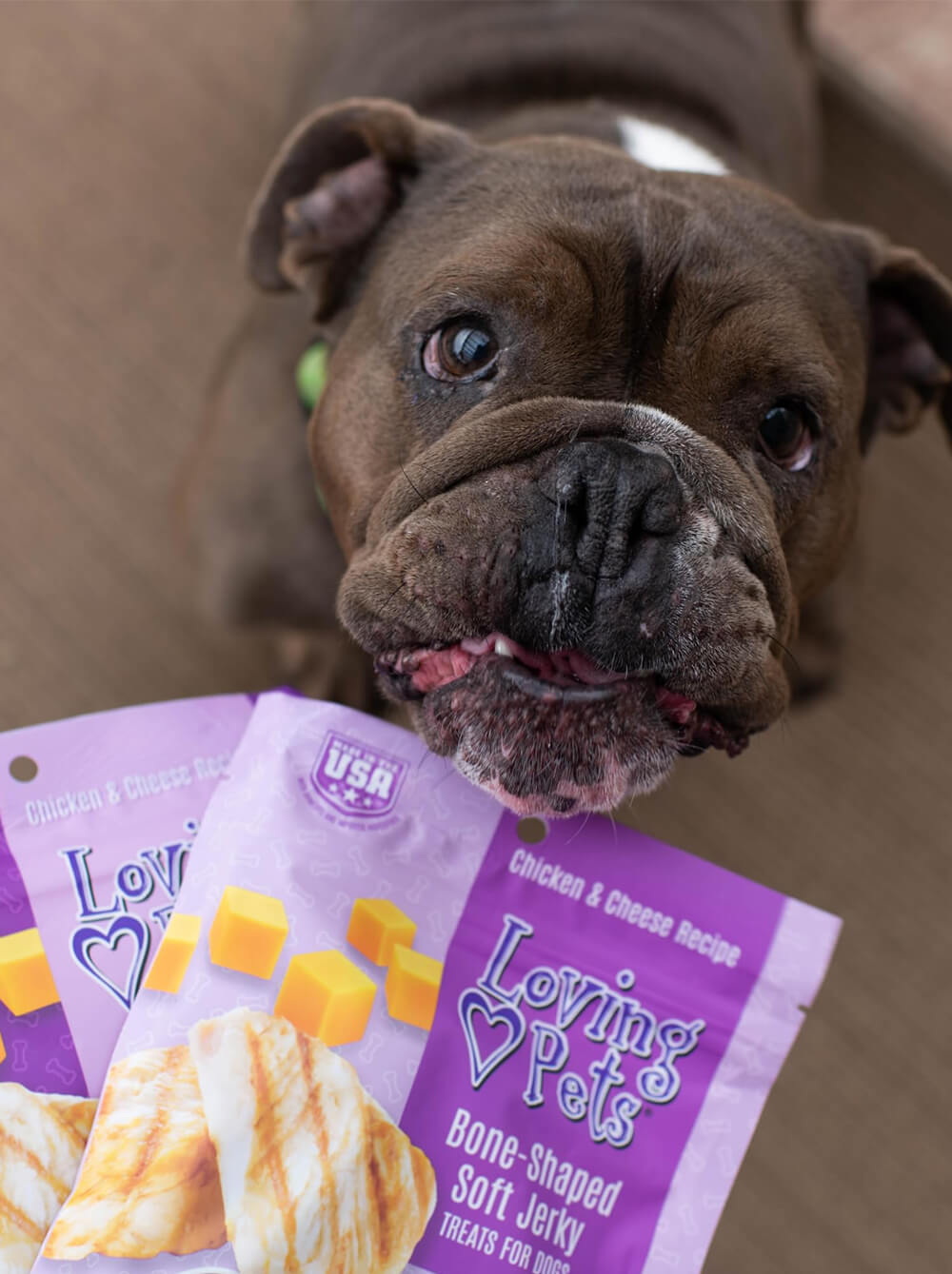 LOVING PETS Snack Jerky para perros - Pollo y Queso - Huesos - 6 oz