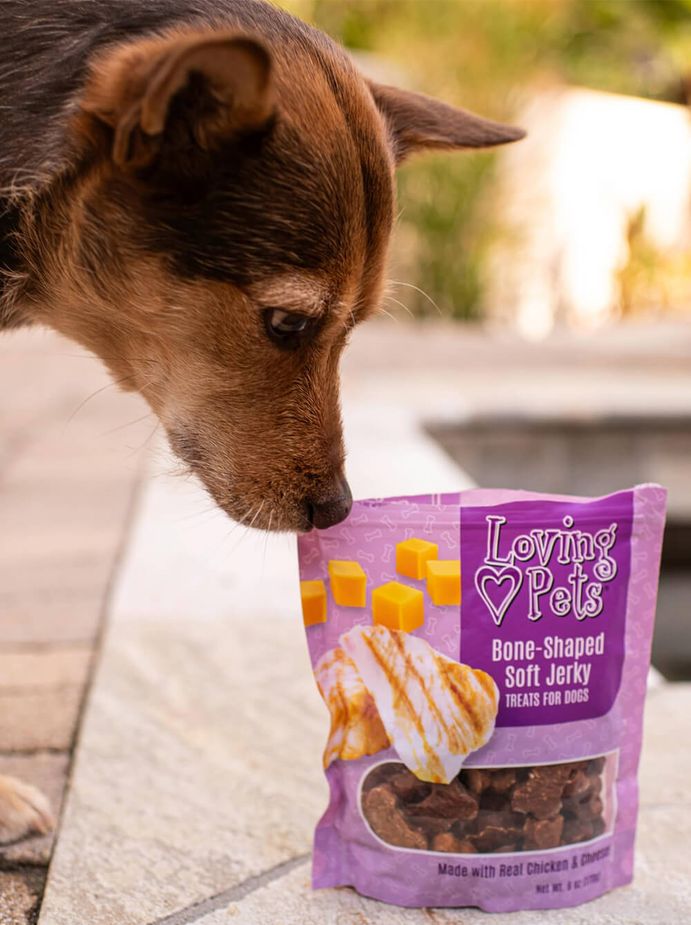 LOVING PETS Snack Jerky para perros - Pollo y Queso - Huesos - 6 oz