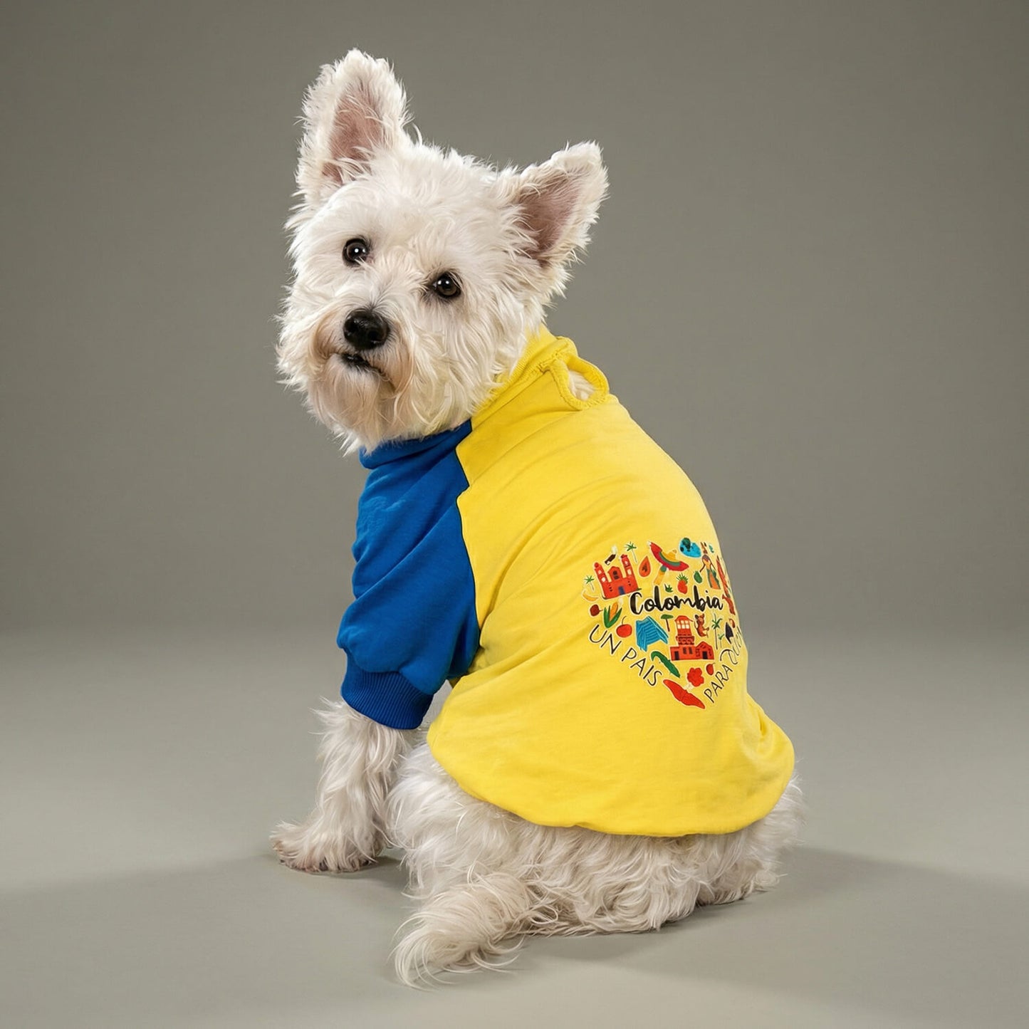 Camiseta Made In Colombia