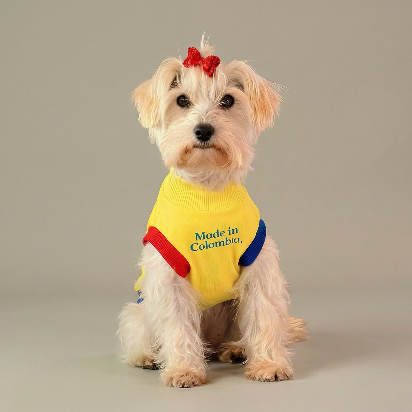 Esqueleto Made In Colombia