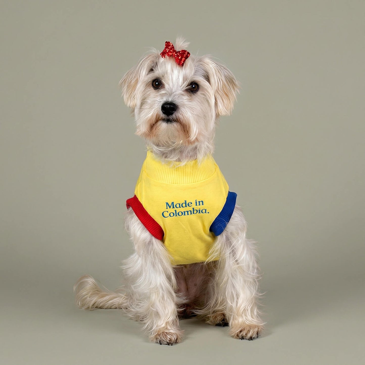 Esqueleto Made In Colombia