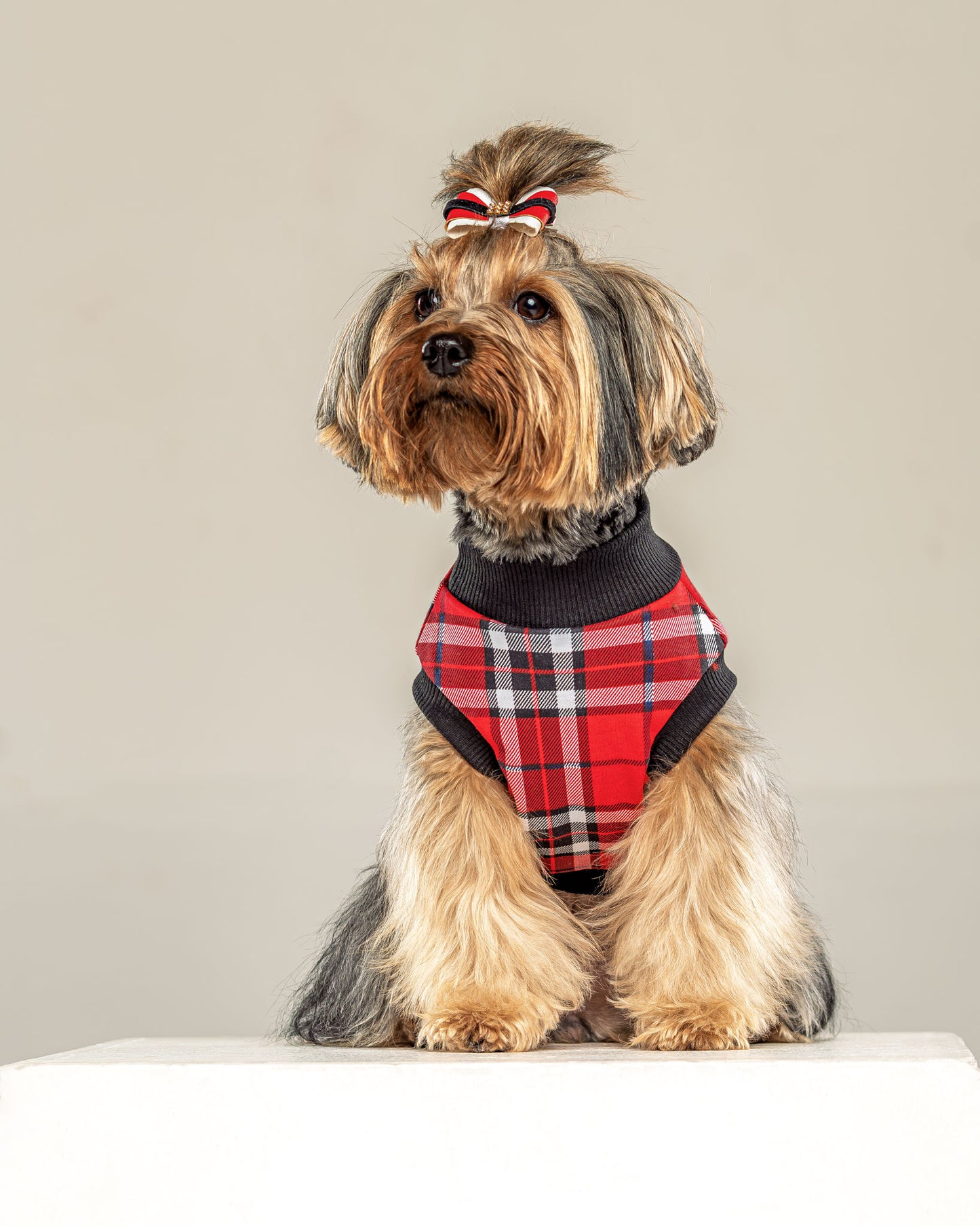 Esqueleto Leñador Rojo