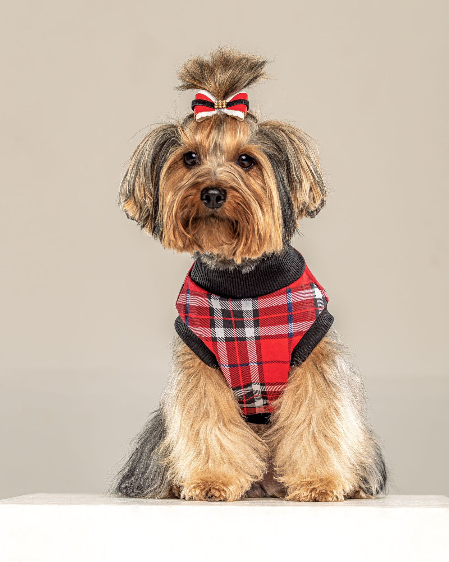 Esqueleto Leñador Rojo