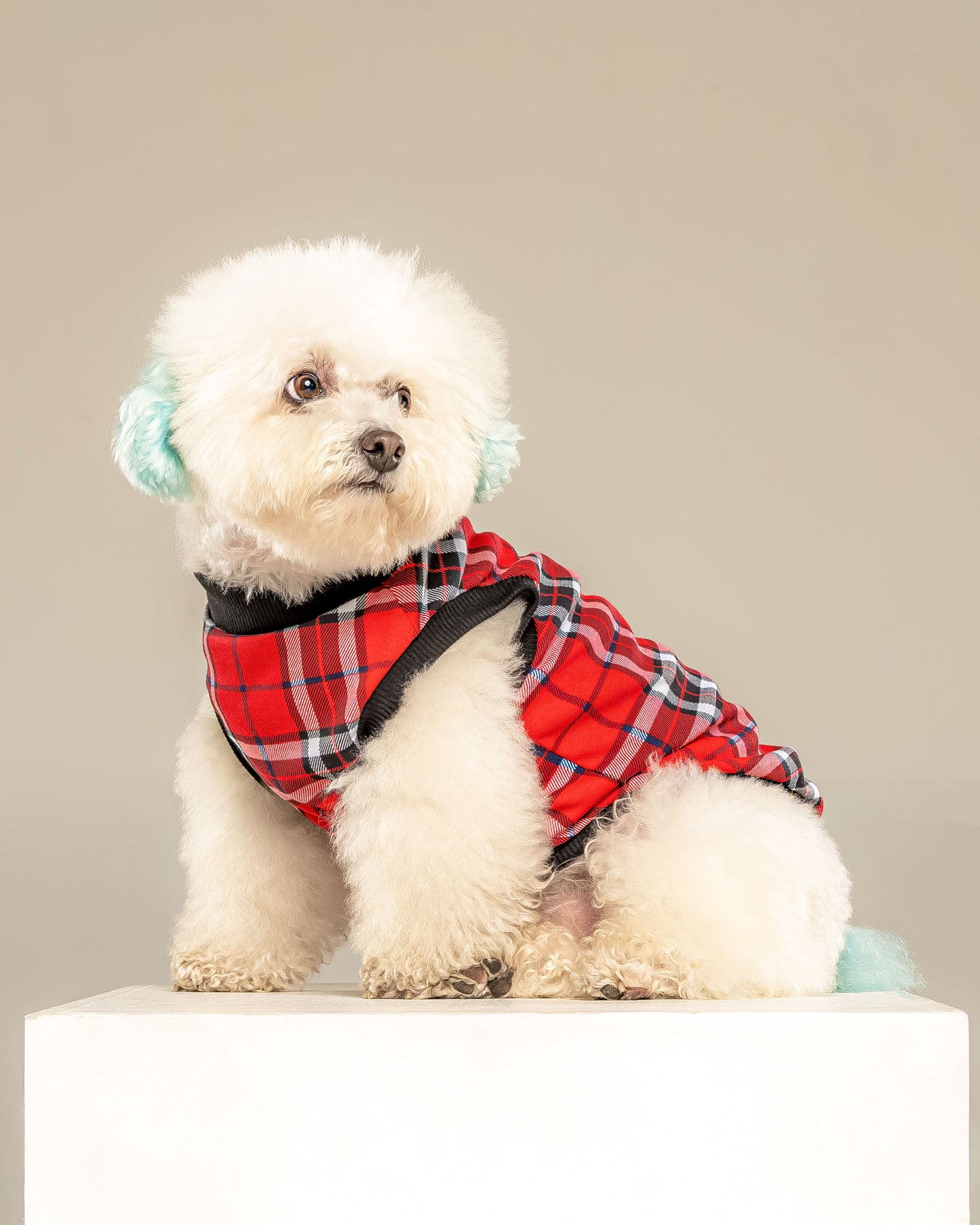 Esqueleto Leñador Rojo