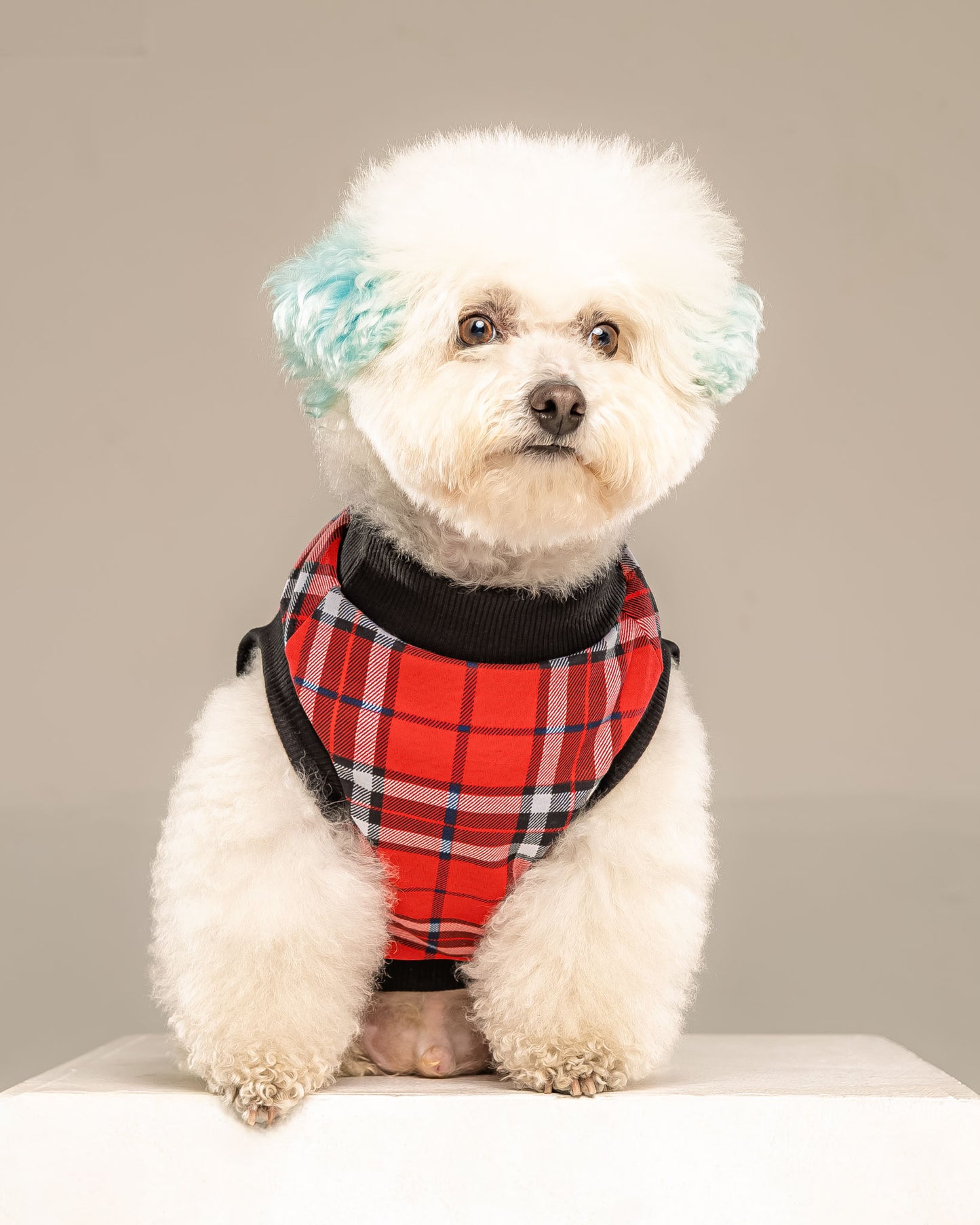 Esqueleto Leñador Rojo