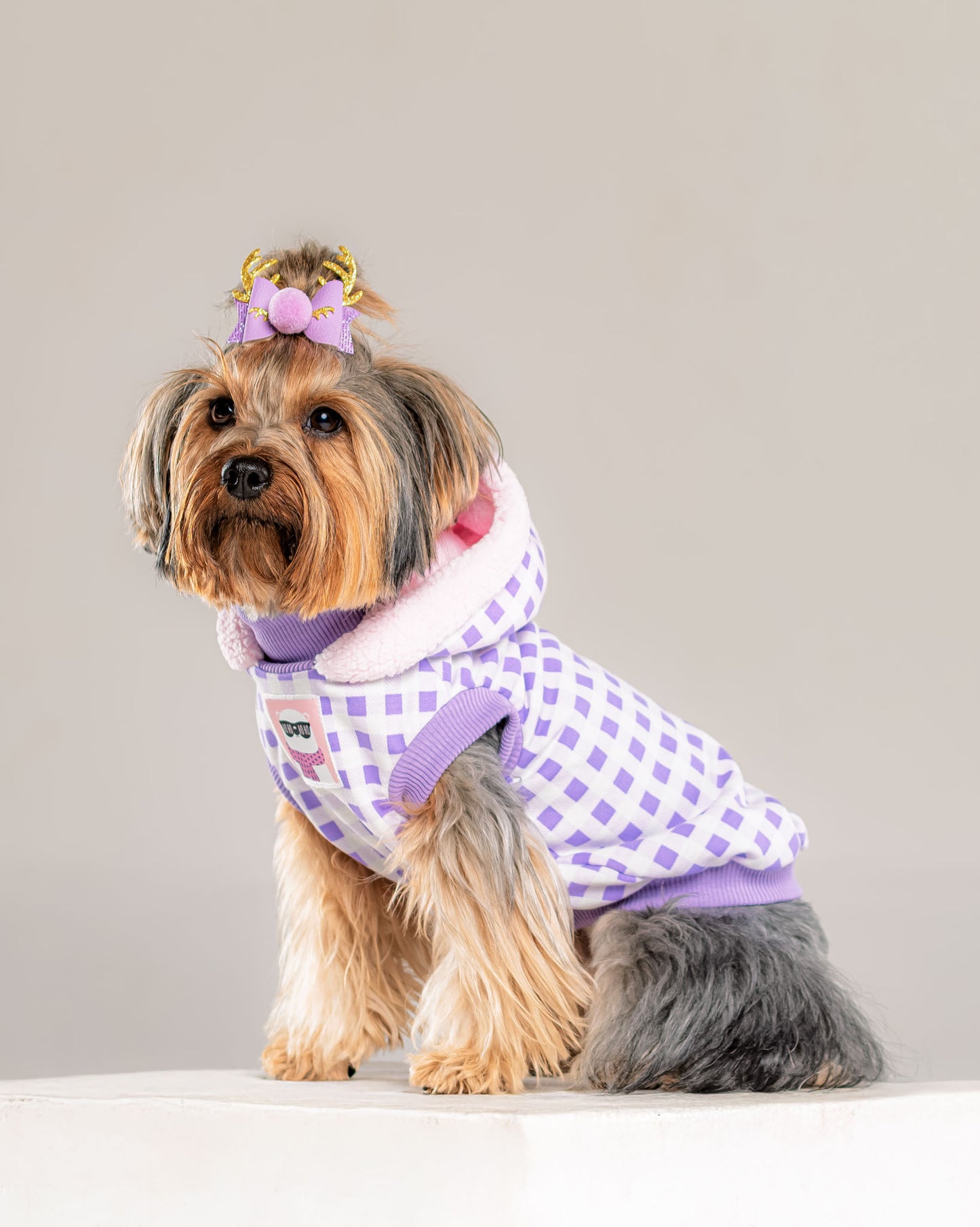 Hoodie Leñador Lila