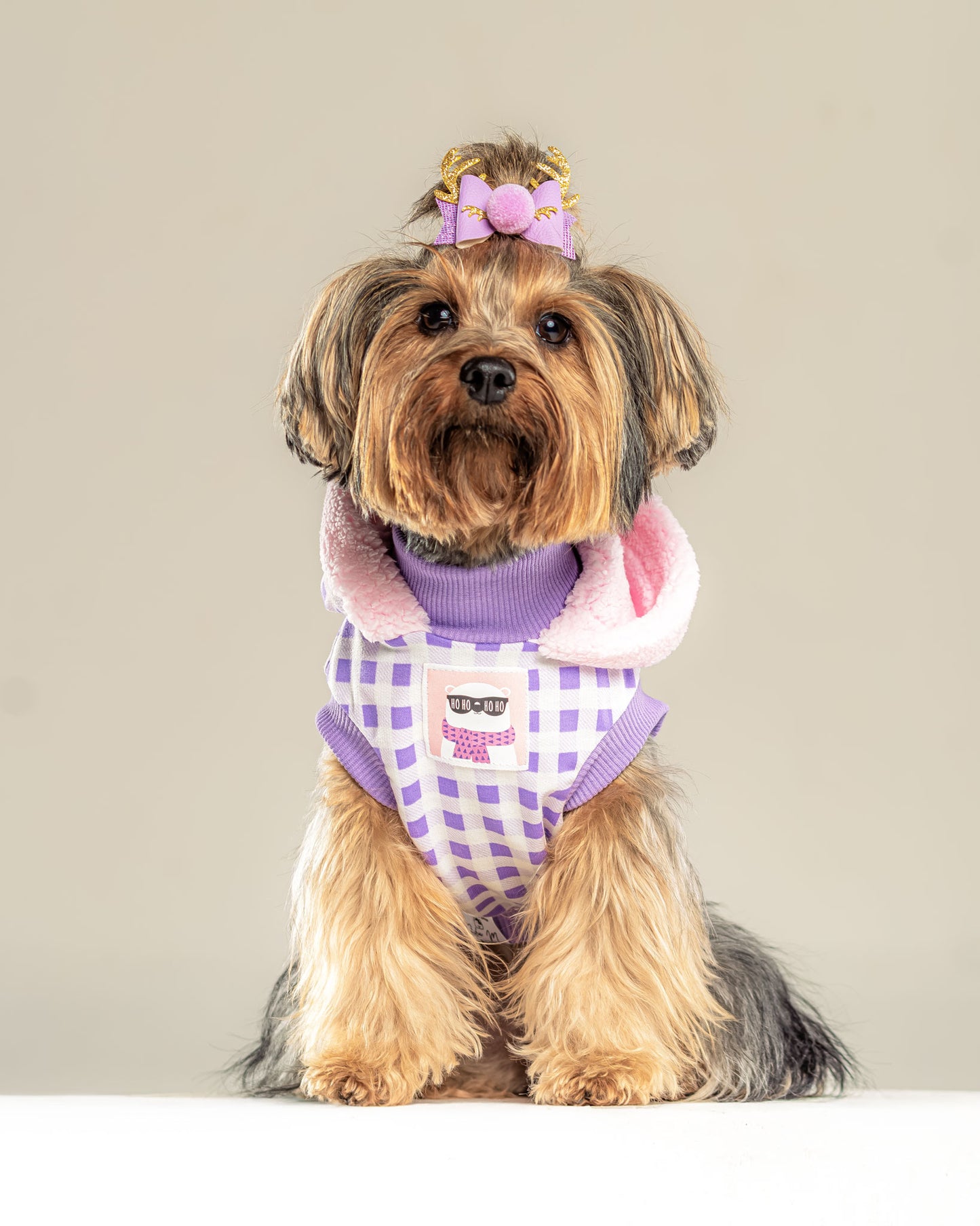 Hoodie Leñador Lila