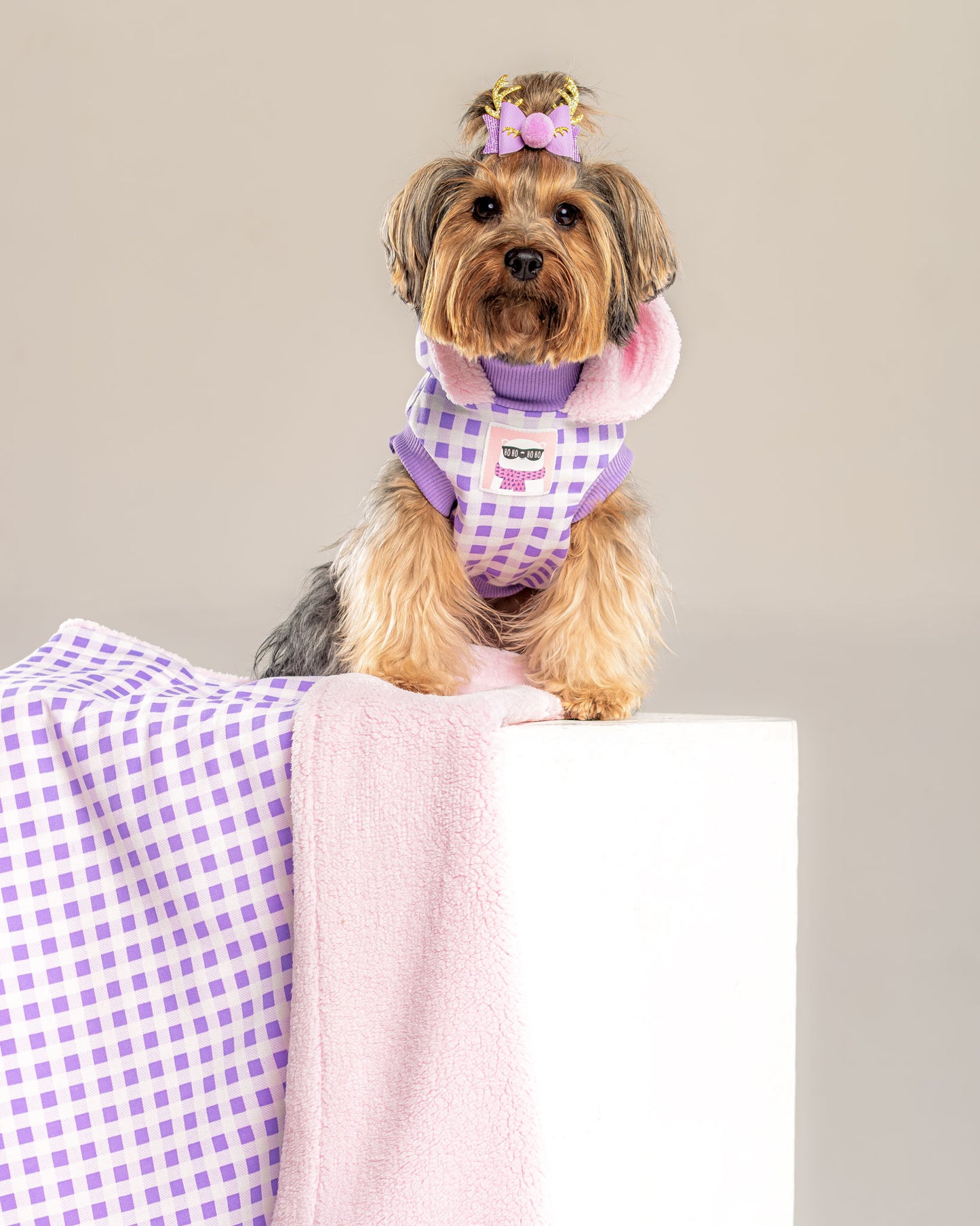 Hoodie Leñador Lila