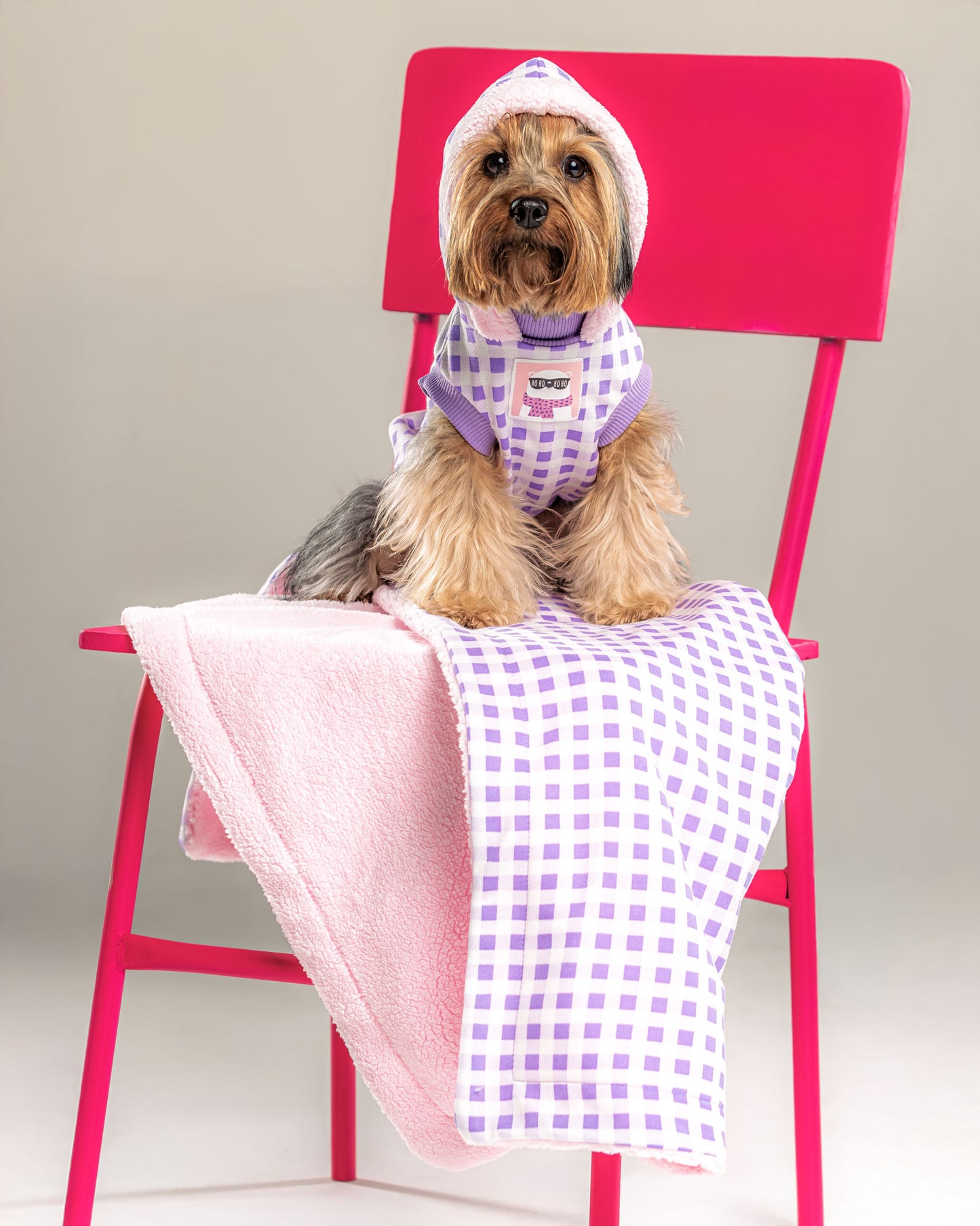 Hoodie Leñador Lila