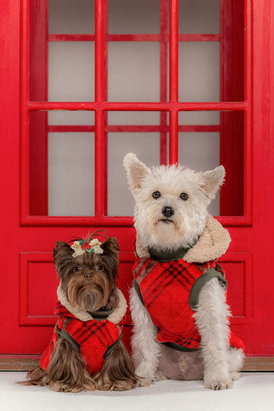 Chaleco De Santa Reversible