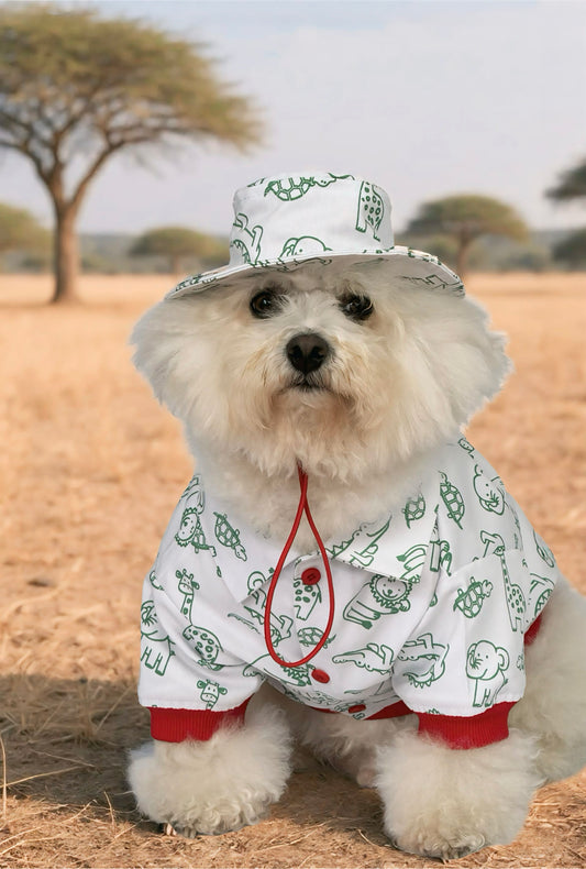Chaqueta Tanzania