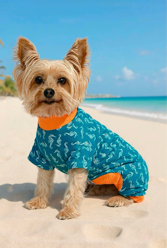 Pijama Costa Azul