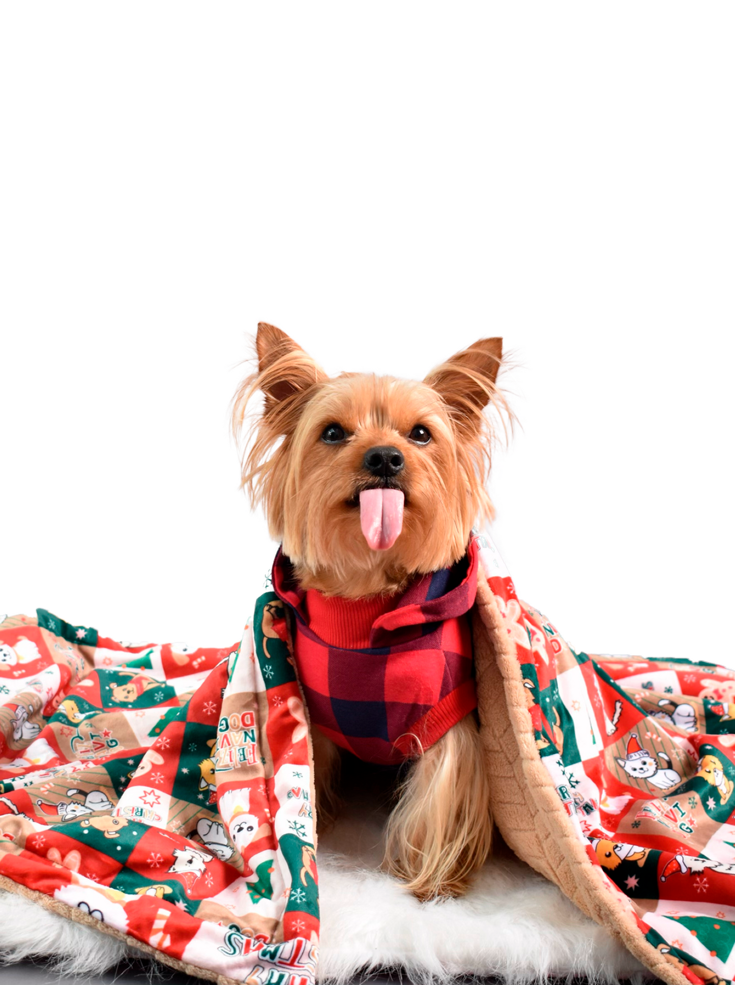 Cobija Cascabel Pequeña