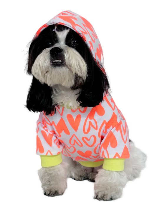 Hoodie Basic Cora