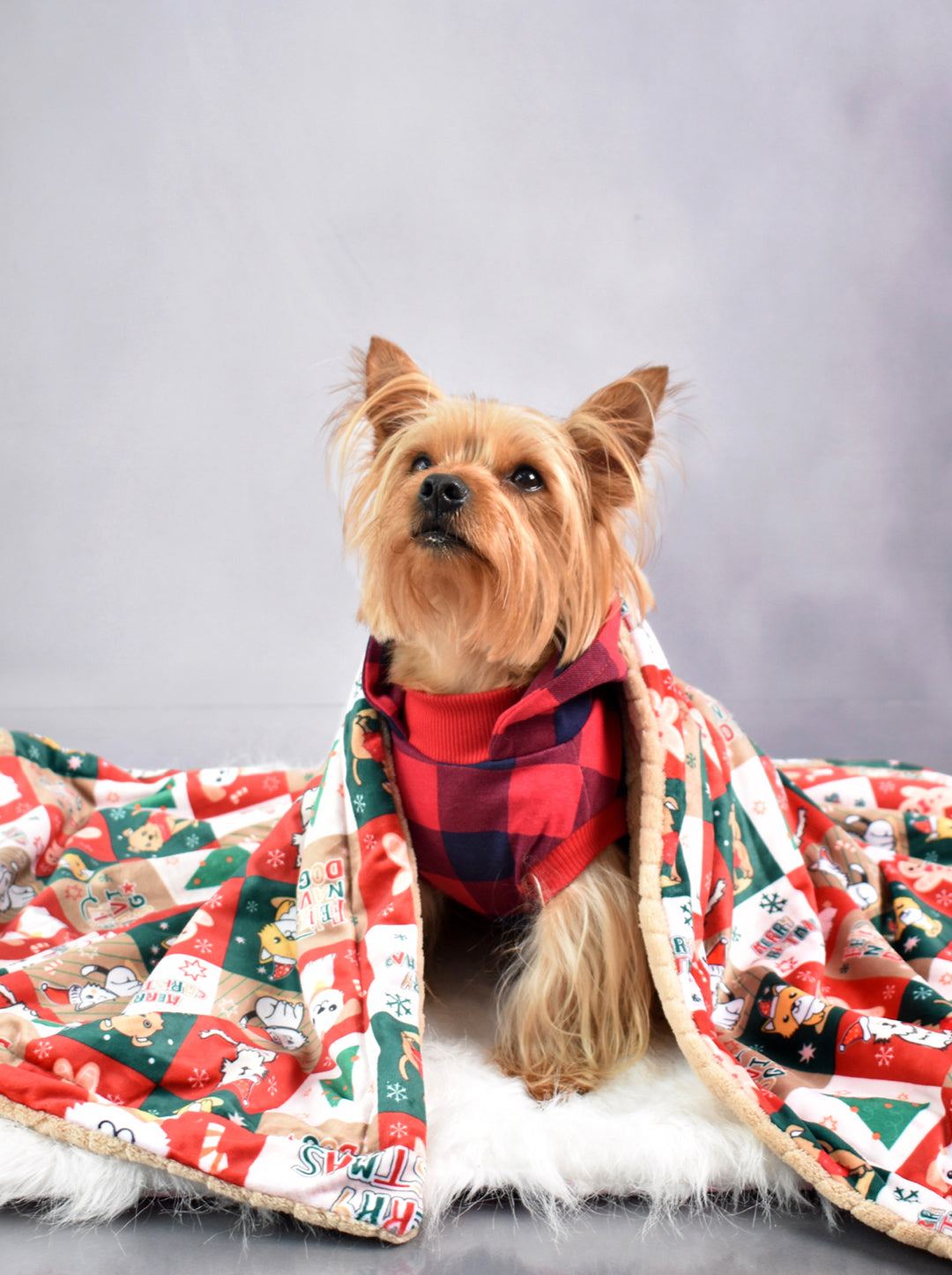 Cobija Cascabel Pequeña