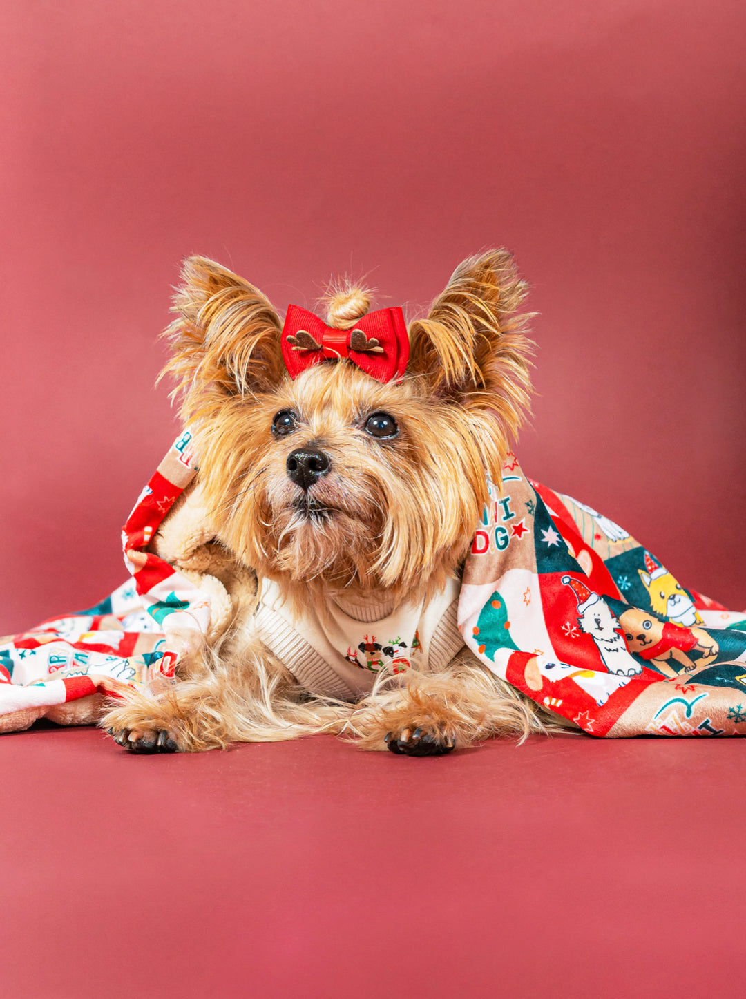 Cobija Cascabel Pequeña