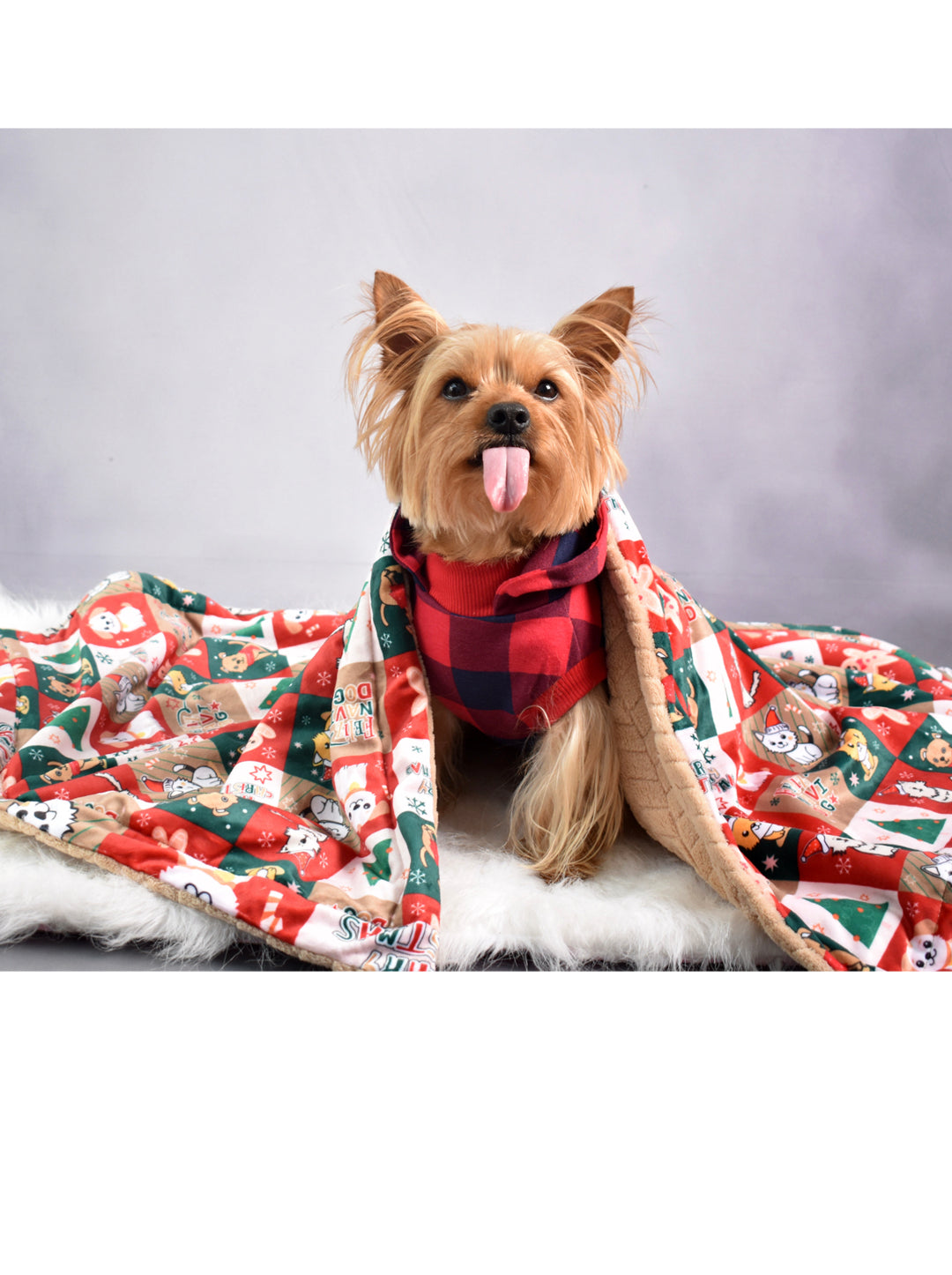 Cobija Cascabel Pequeña