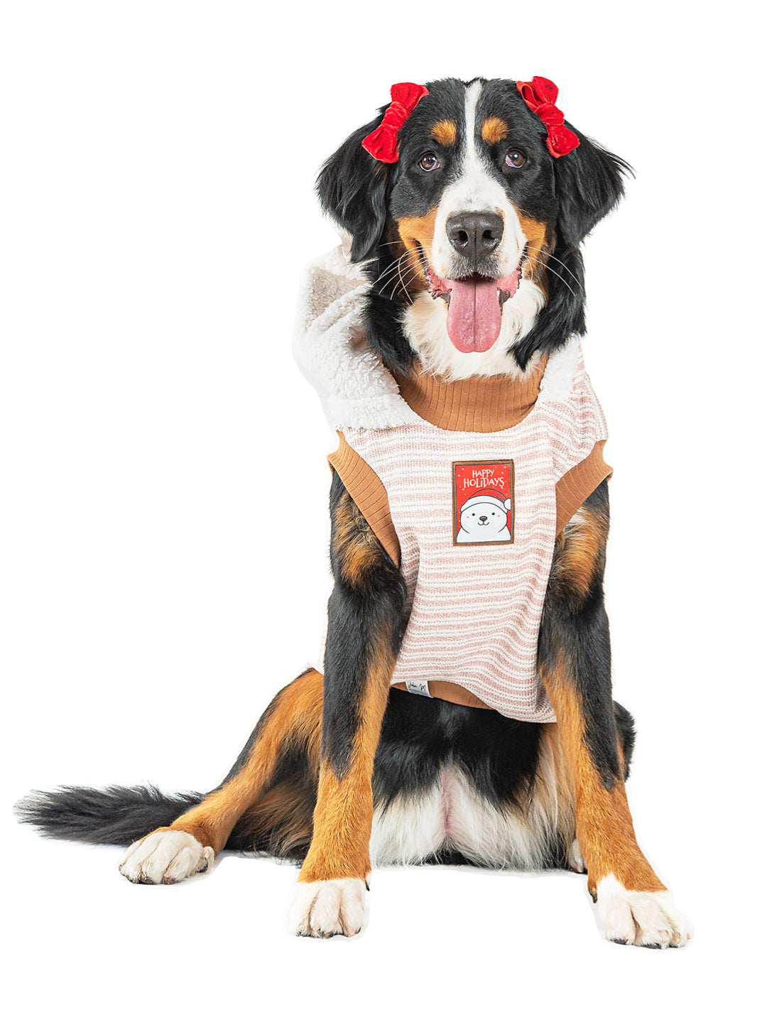 Hoodie Brisa de Invierno