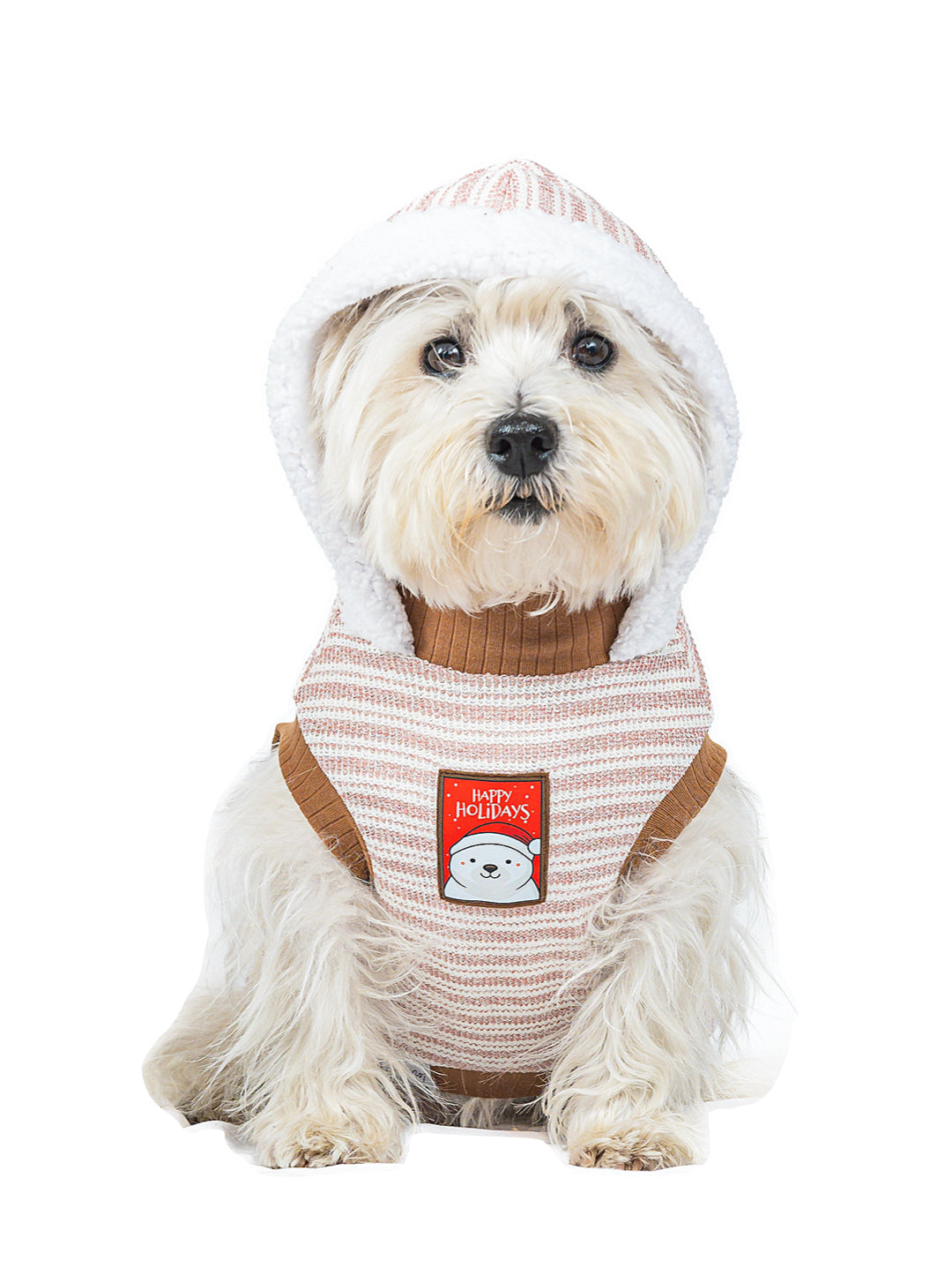 Hoodie Brisa de Invierno