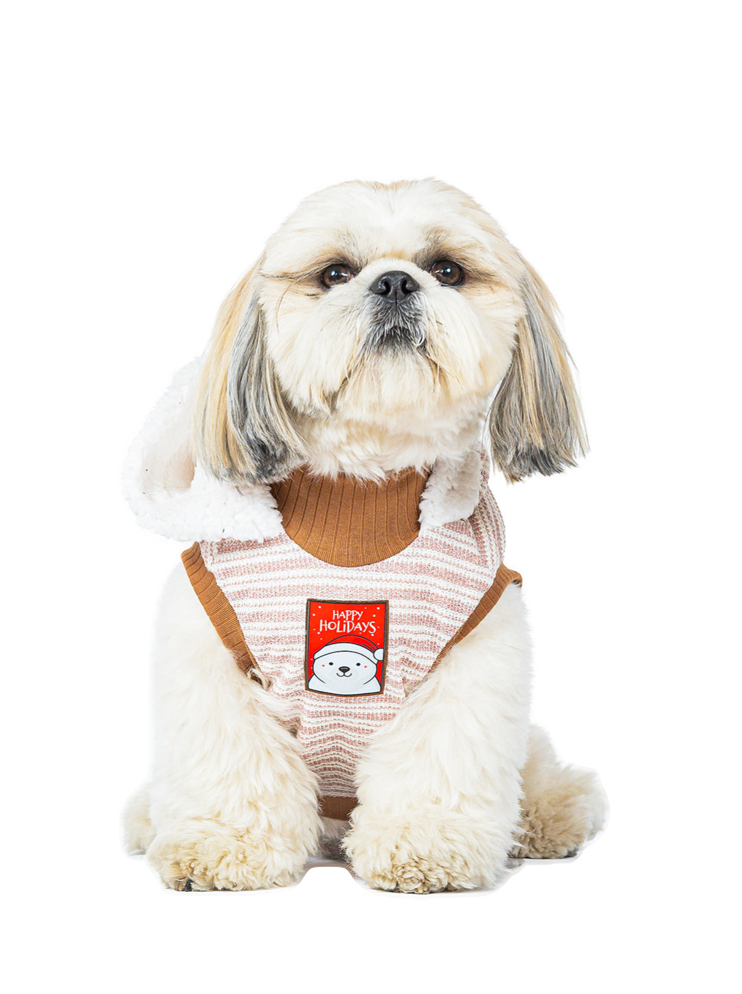 Hoodie Brisa de Invierno